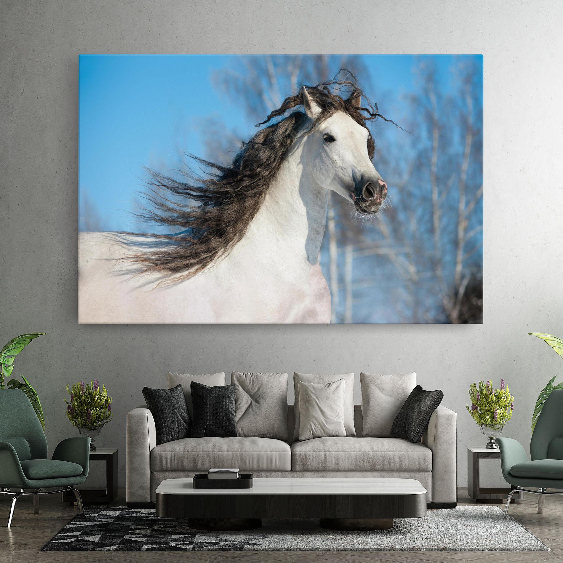 Tablou Canvas Wild Black Hair Horse mockup 7
