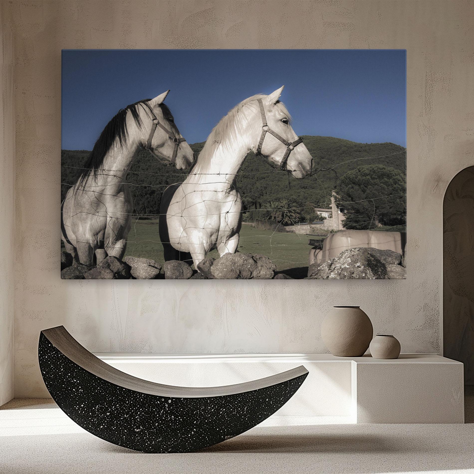 Tablou Canvas White Grey Horse mockup 8