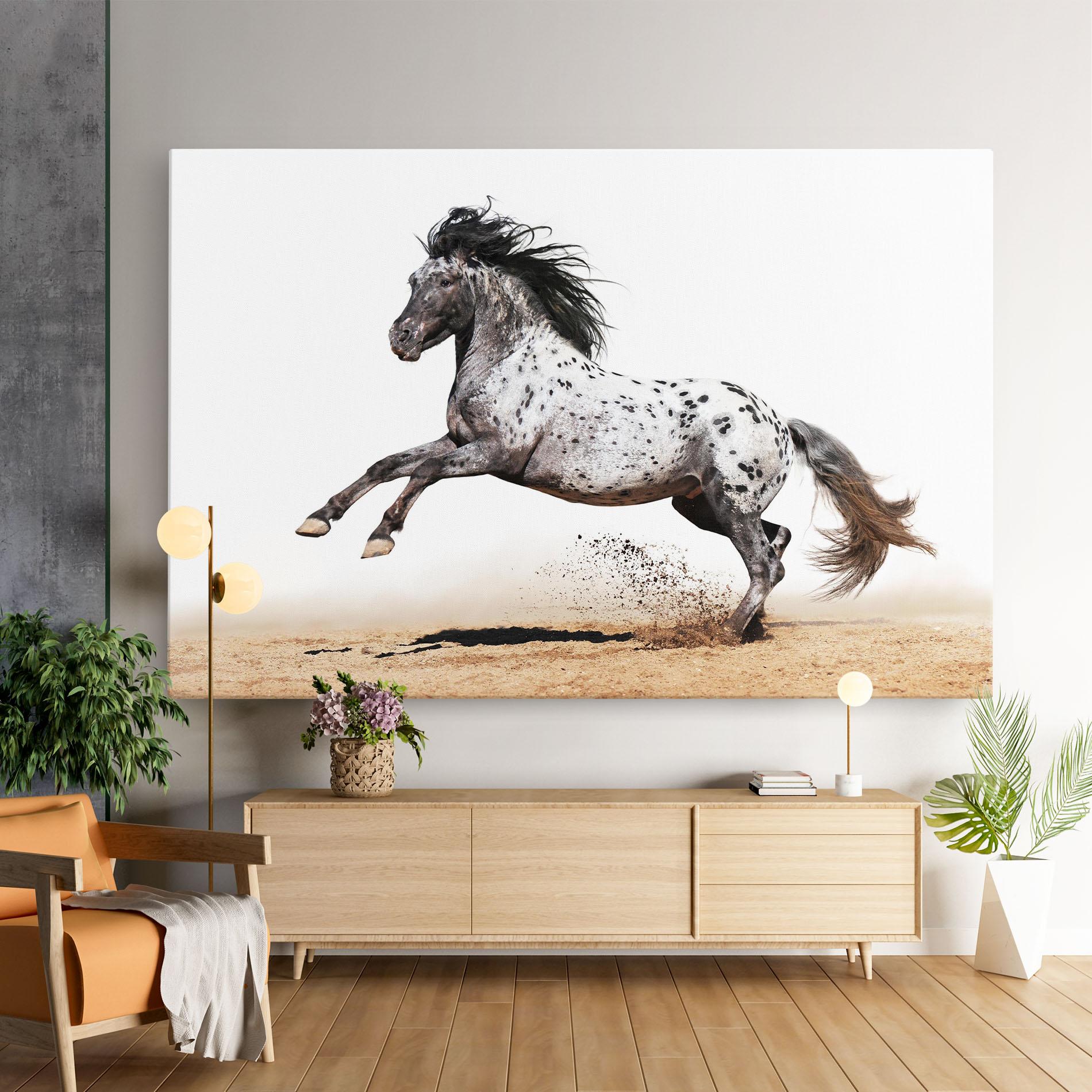 Tablou Canvas Appaloosa Horse Running mockup 9