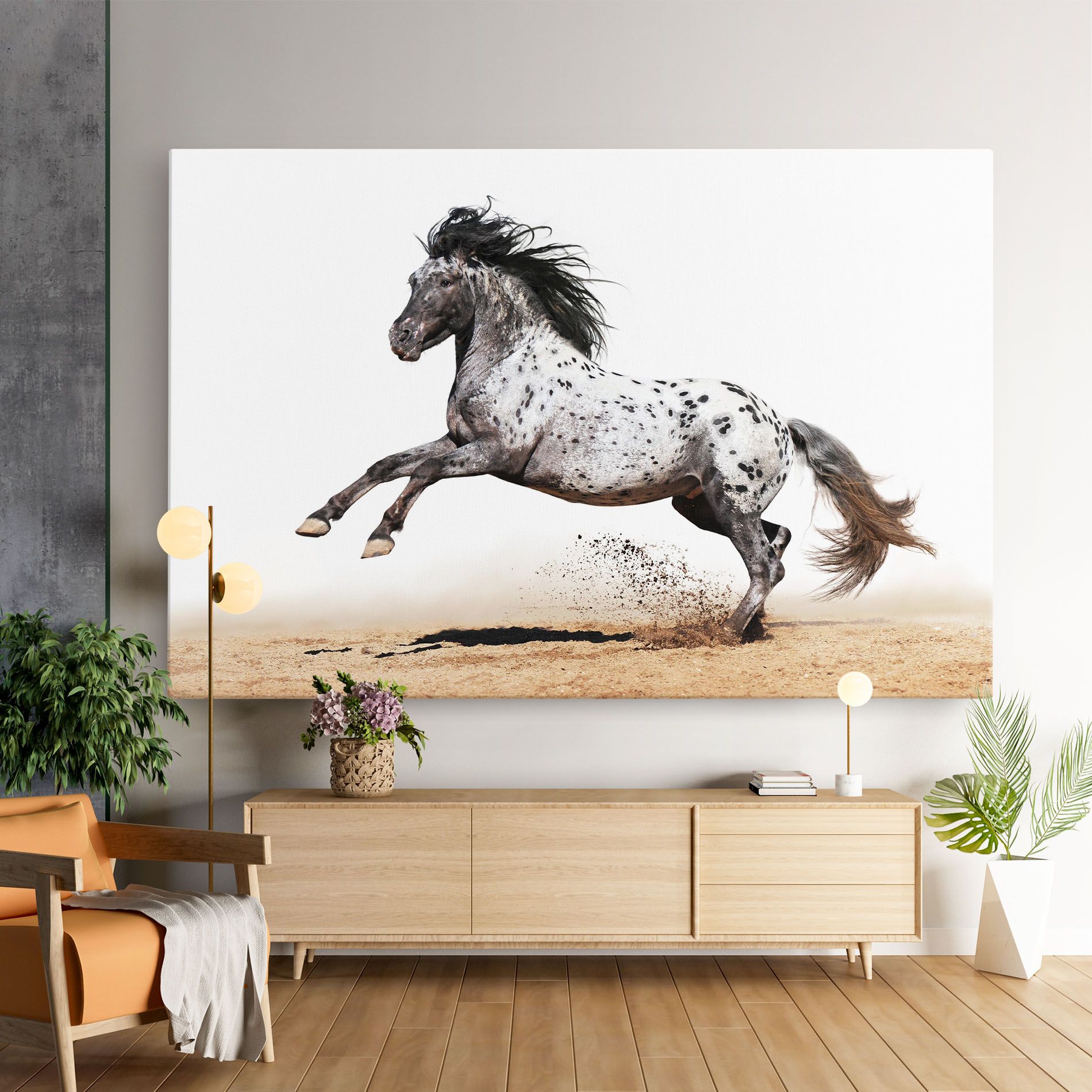 Appaloosa Horse Running mockup 9