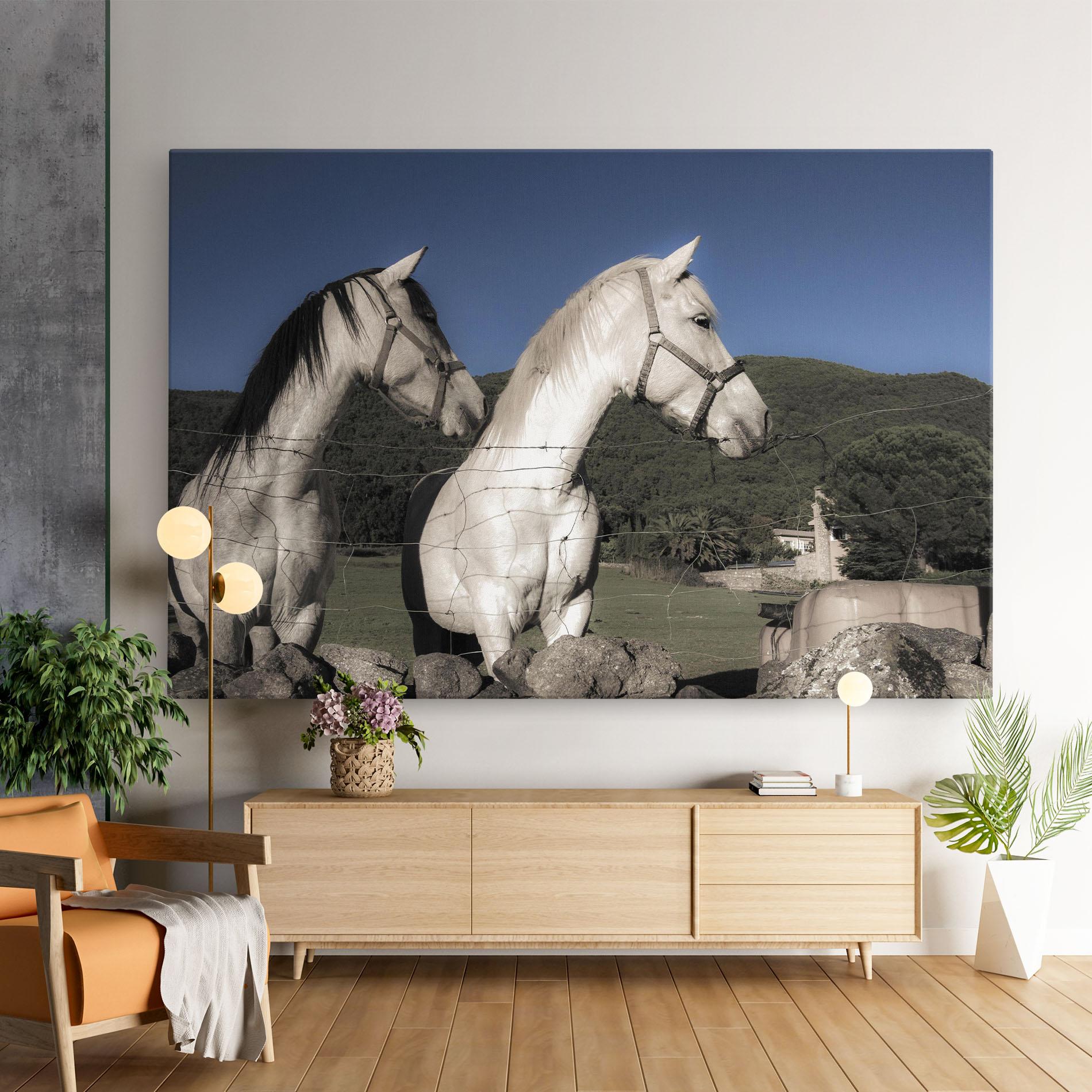 Tablou Canvas White Grey Horse mockup 9