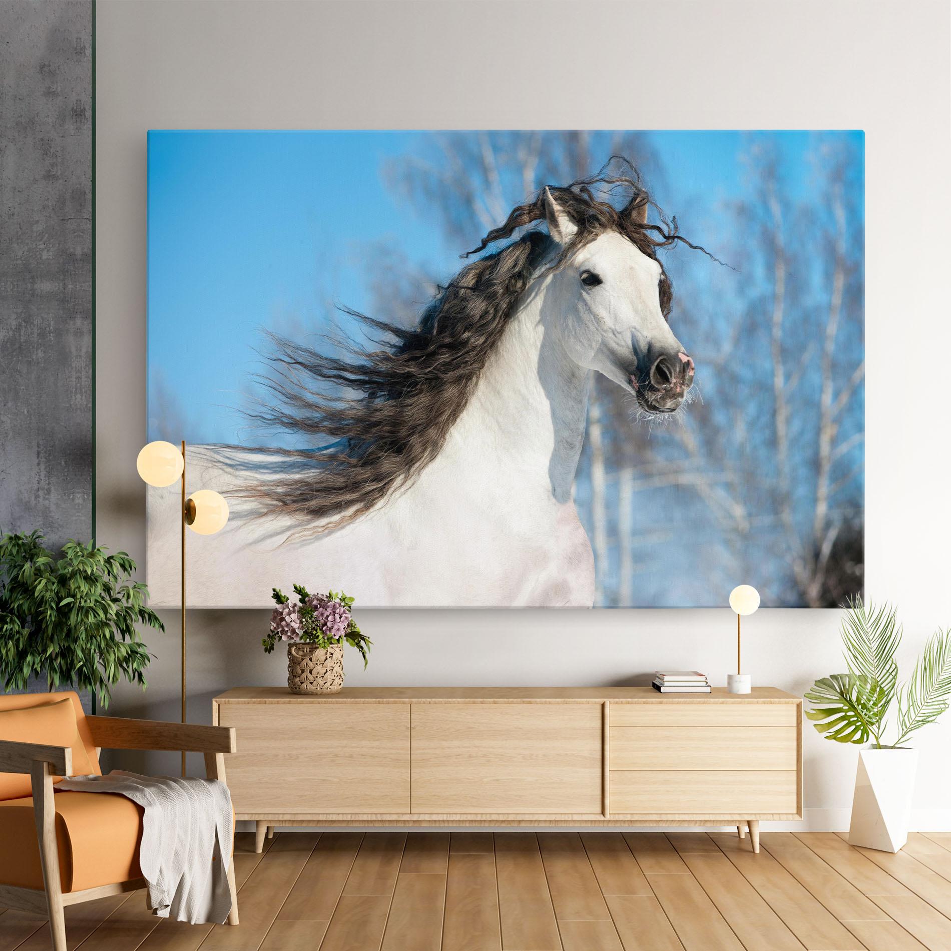 Tablou Canvas Wild Black Hair Horse mockup 9