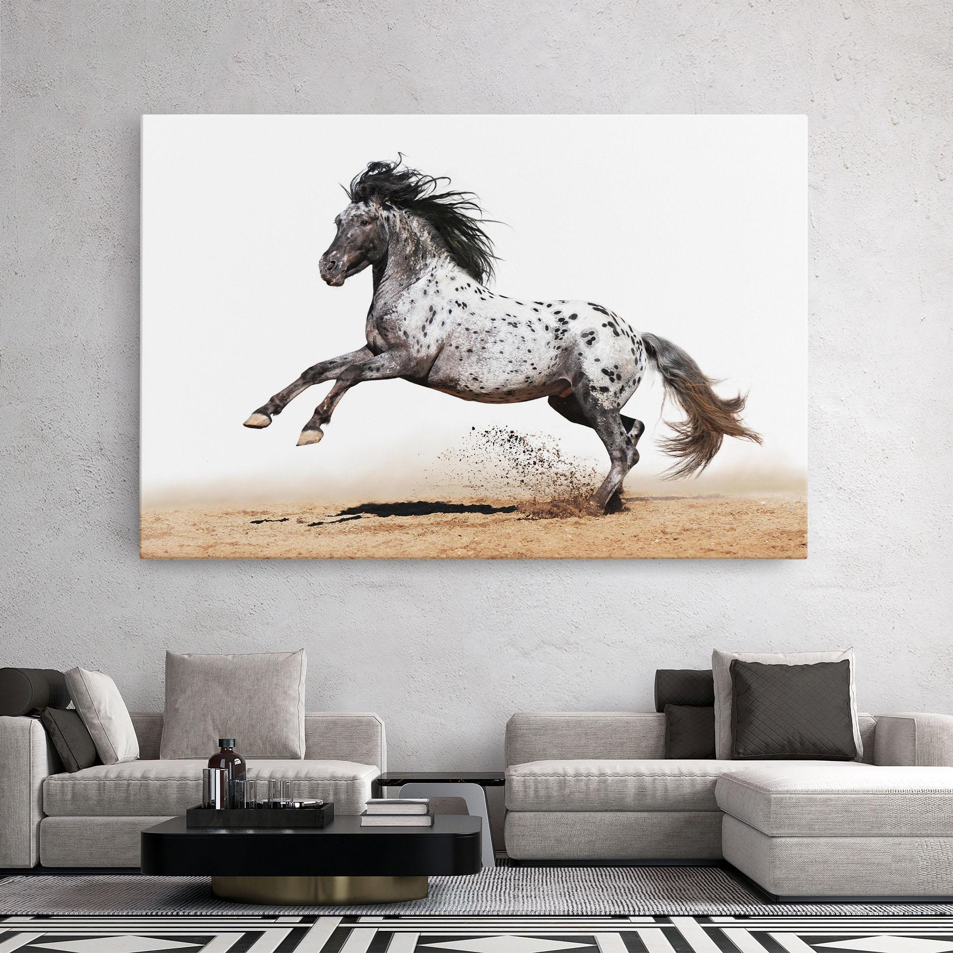 Tablou Canvas Appaloosa Horse Running mockup 2