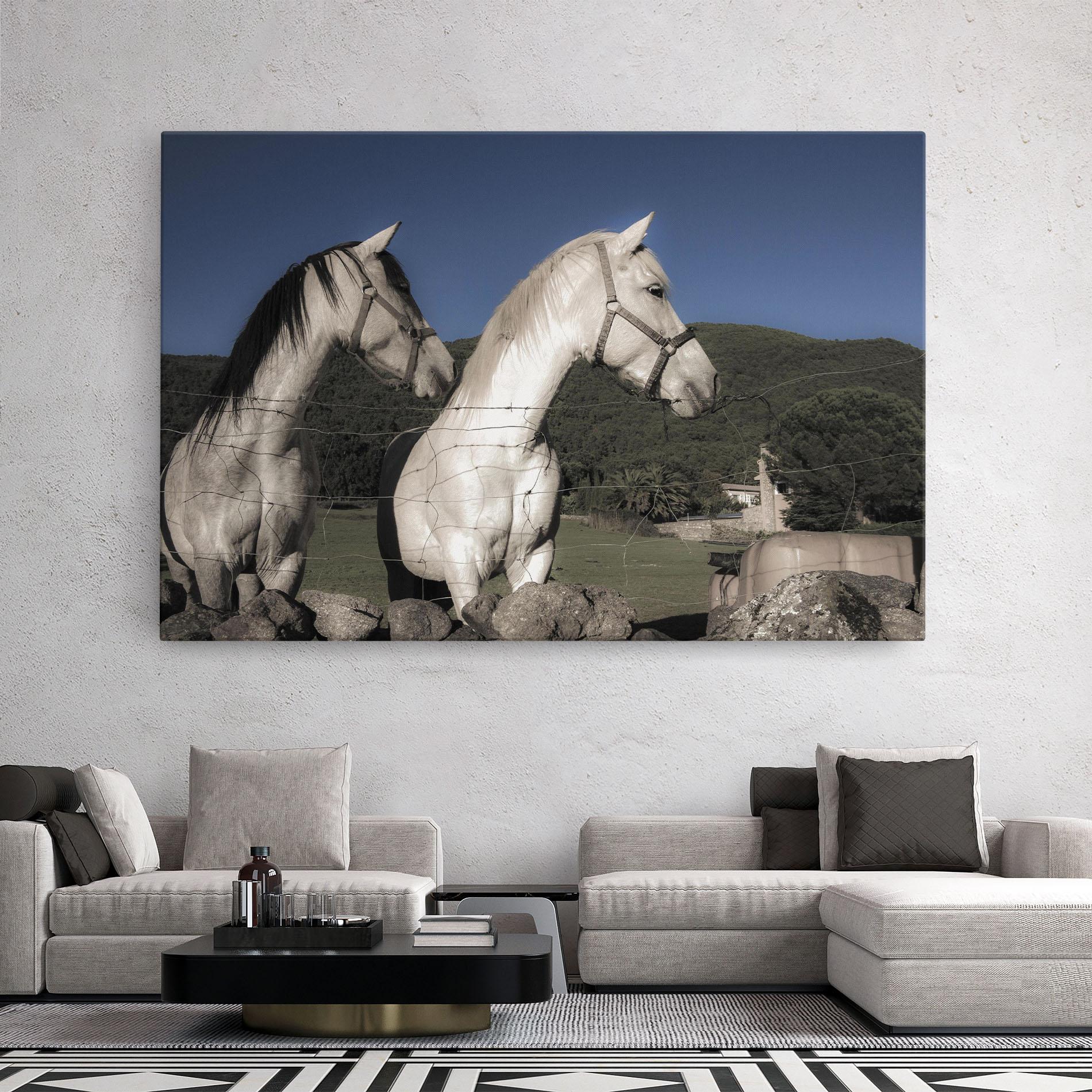 Tablou Canvas White Grey Horse mockup 2