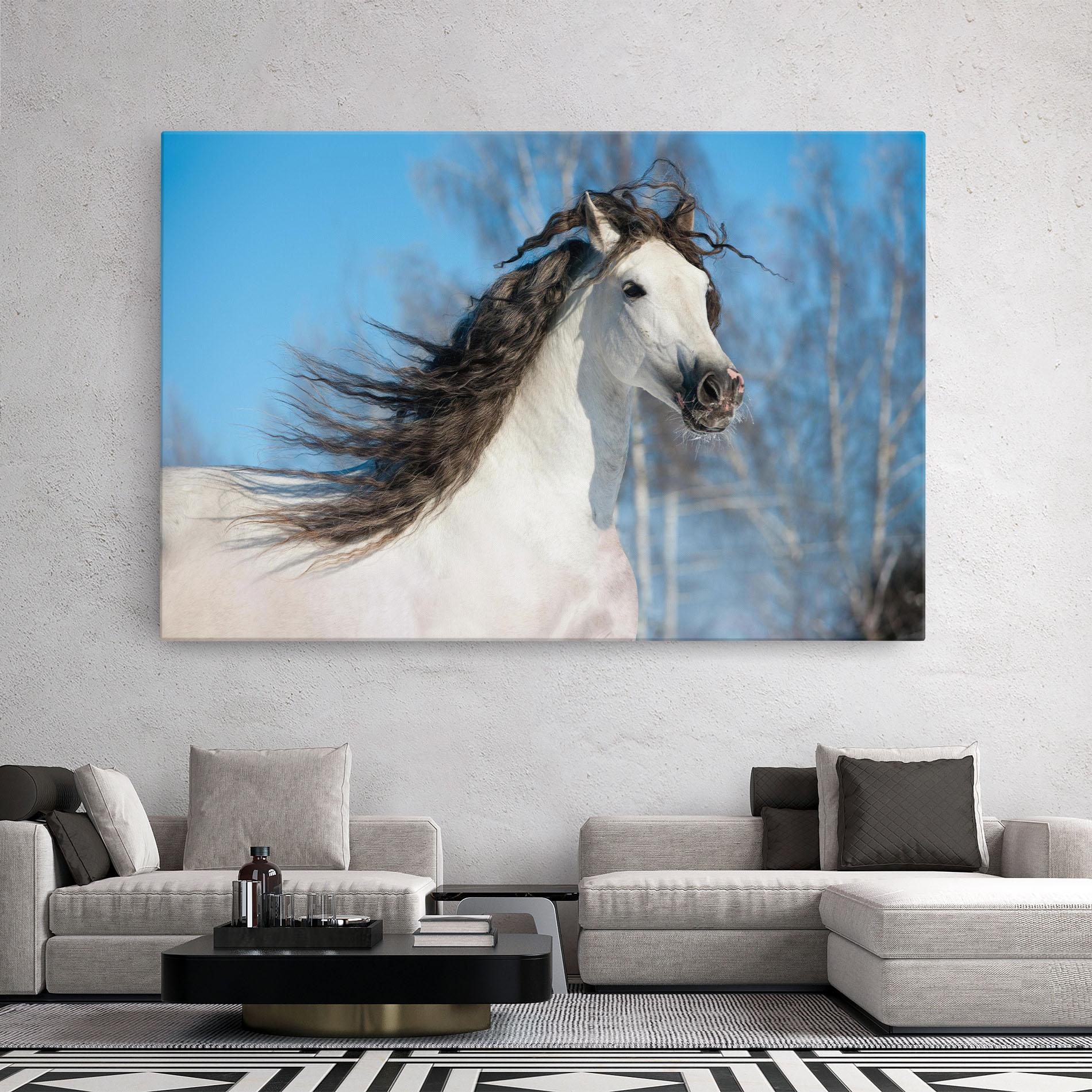 Tablou Canvas Wild Black Hair Horse mockup 2