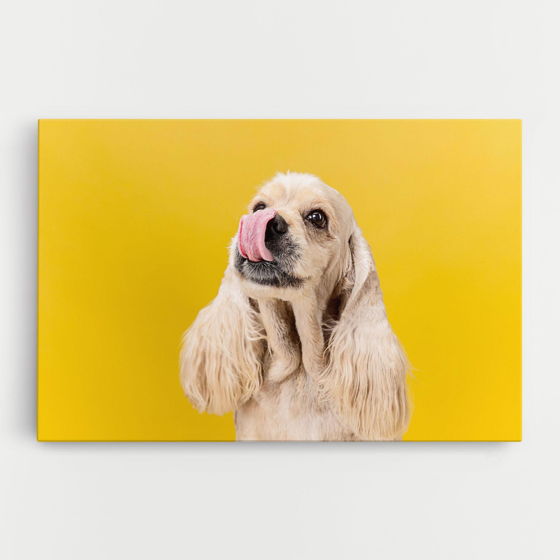 Tablou Canvas American Spaniel mockup 0