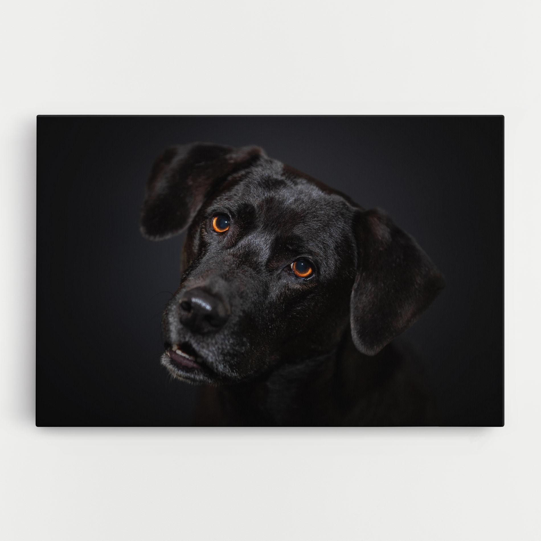 Tablou Canvas Black Dog Portrait mockup 0