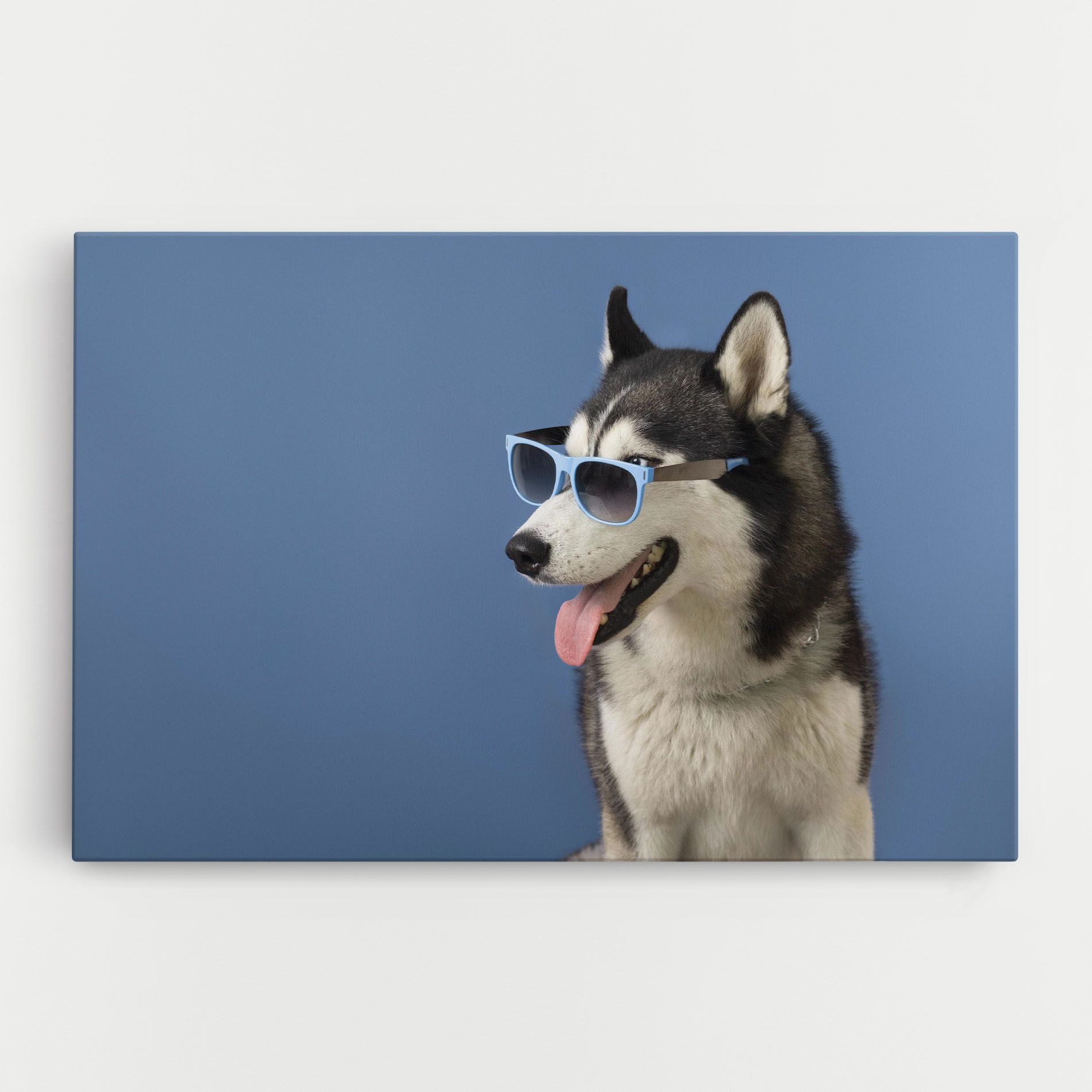 Blue Glasses Dog mockup 0