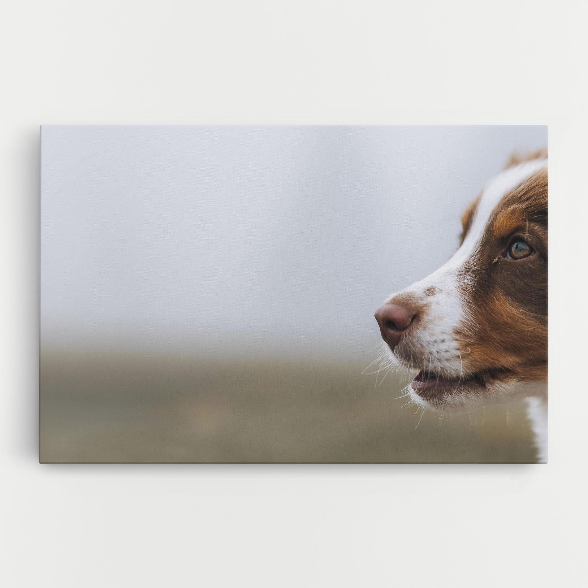 Tablou Canvas Brown White Dog mockup 0
