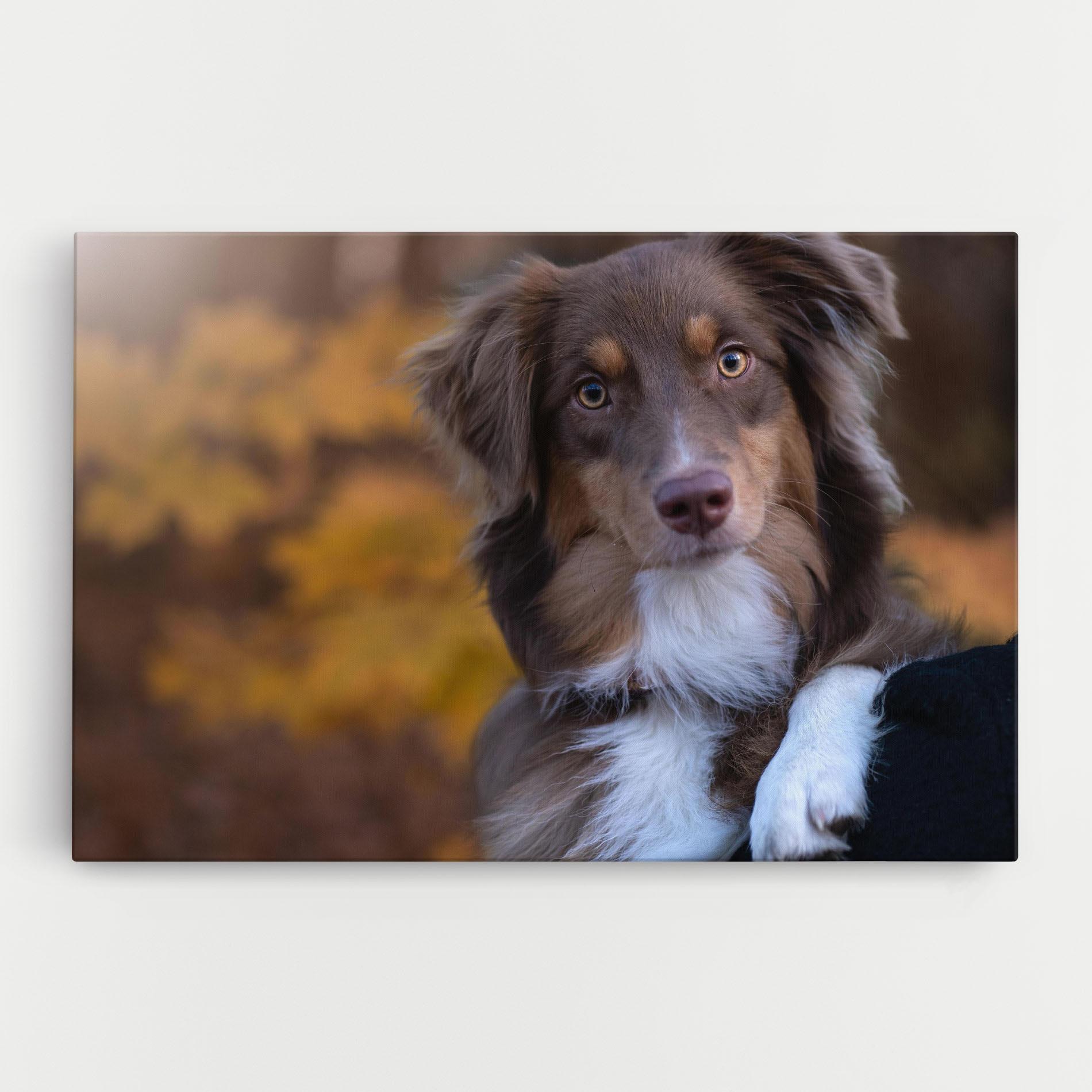 Tablou Canvas Coffee Brown Dog mockup 0