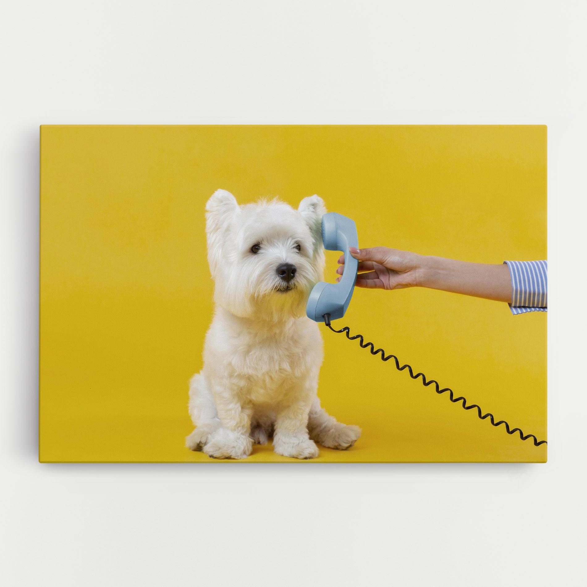 Tablou Canvas Cute Little Dog mockup 0