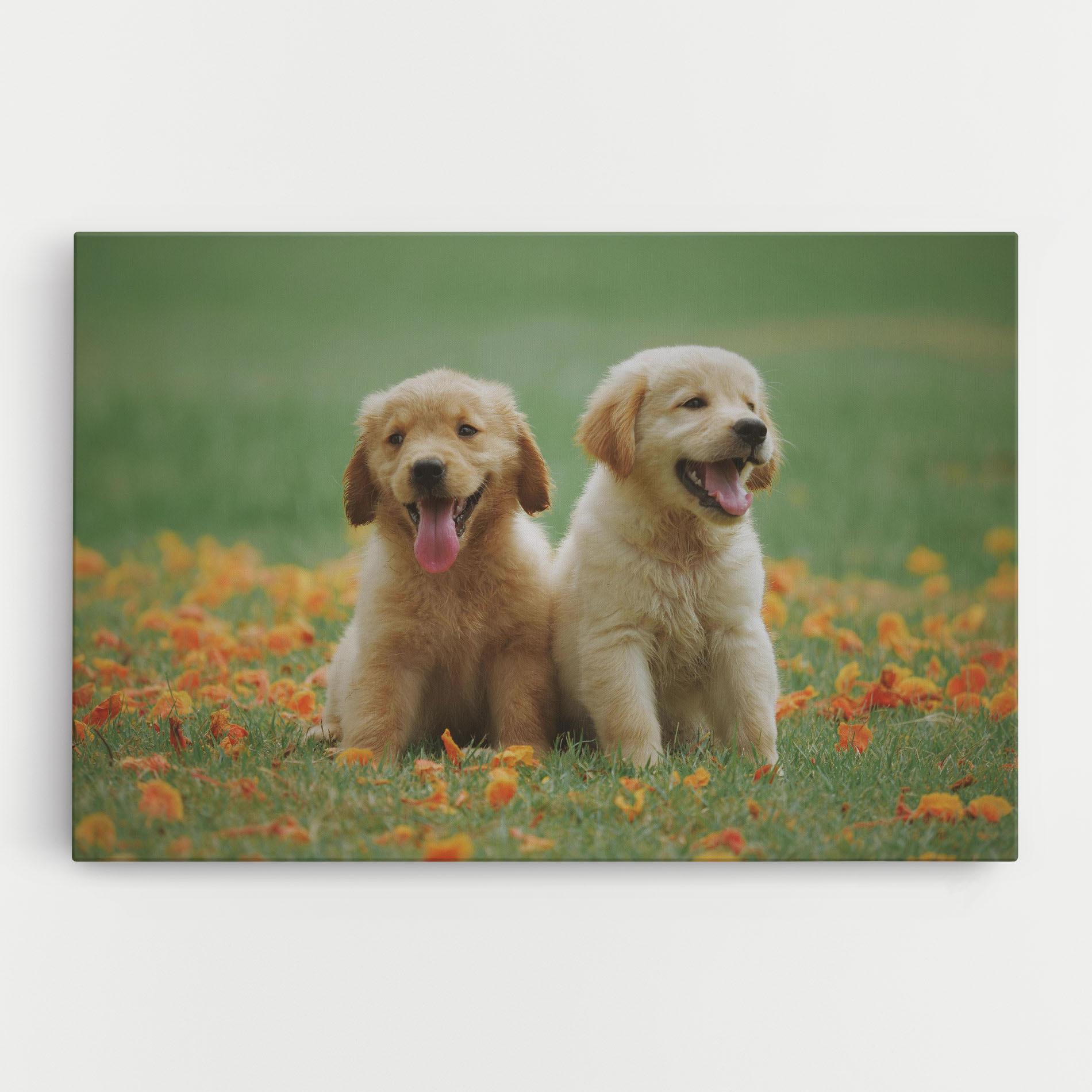 Tablou Canvas Happy Dogs mockup 0