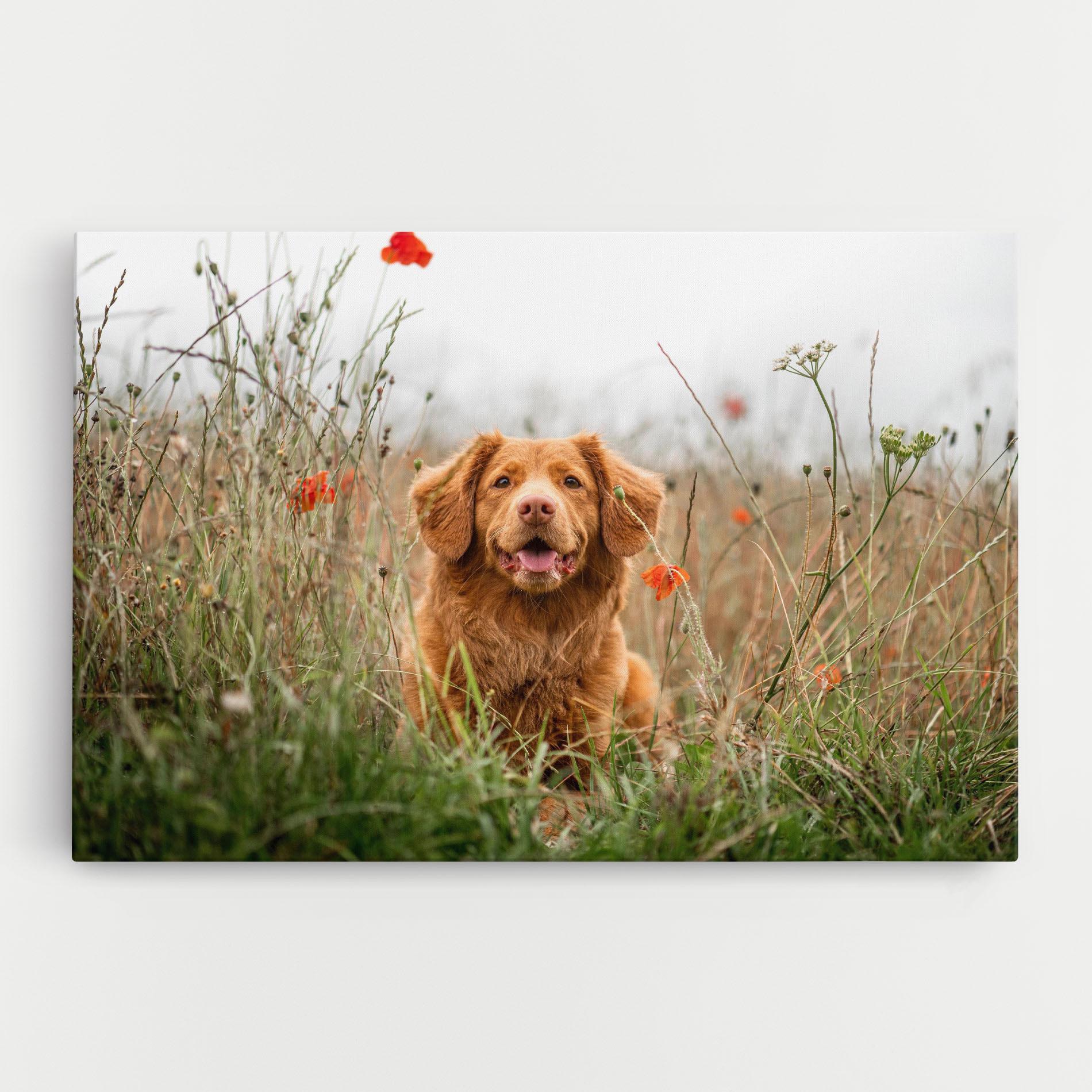 Tablou Canvas Red Flowers Dog mockup 0