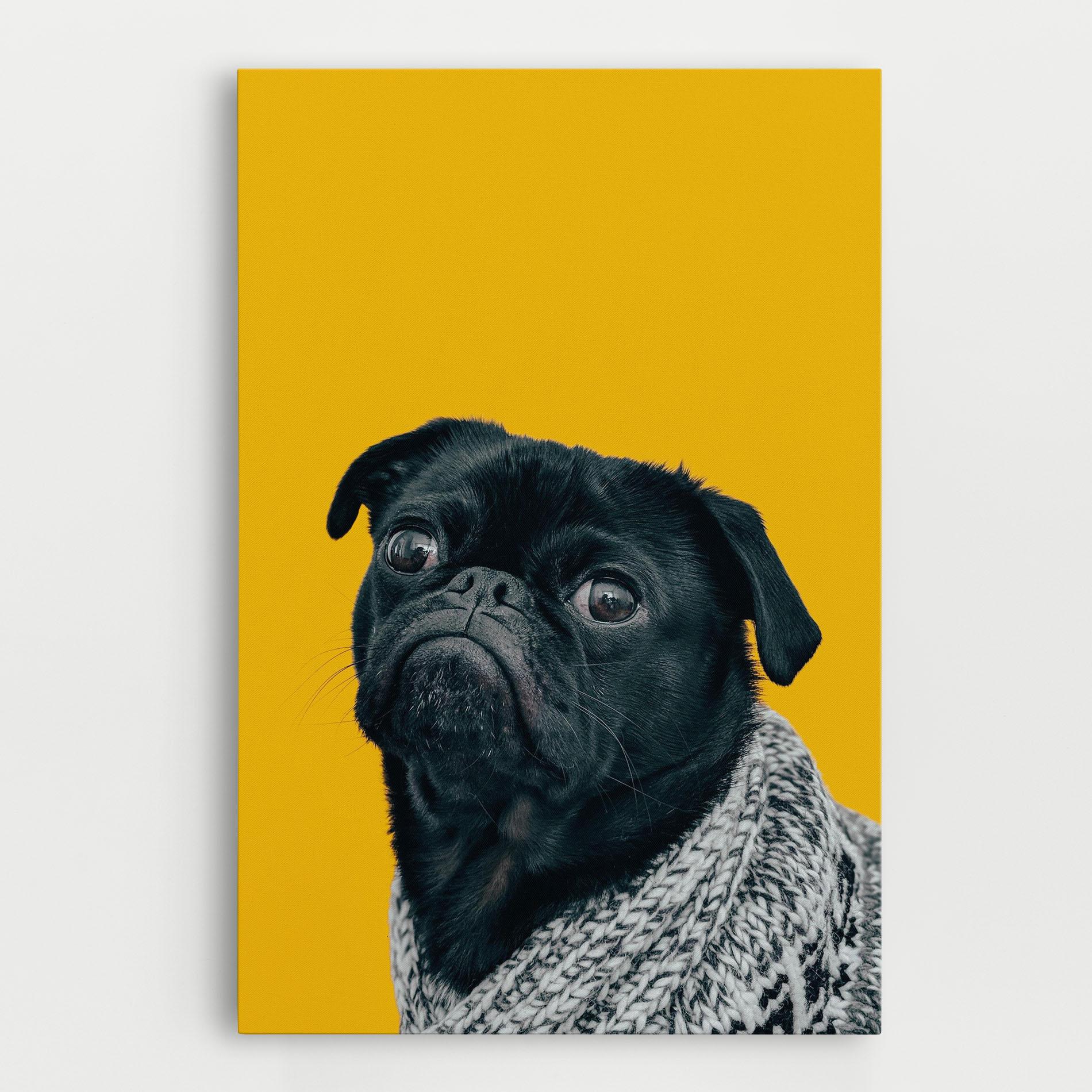 Tablou Canvas Black Pug mockup 0
