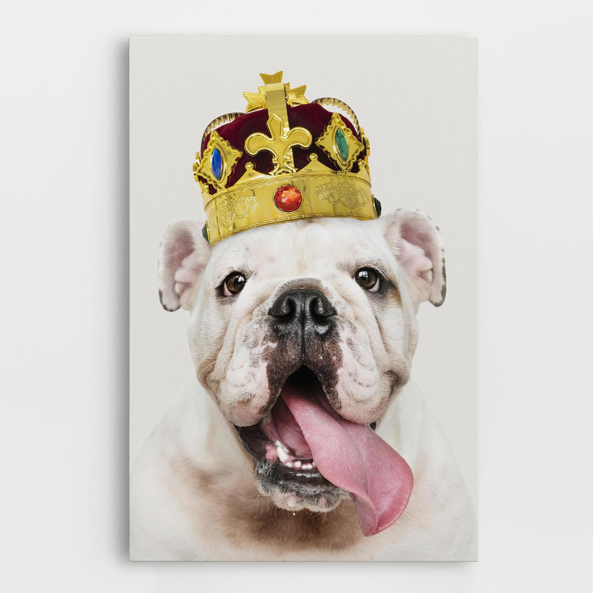 Tablou Canvas Bulldog Wearing Crown mockup 0