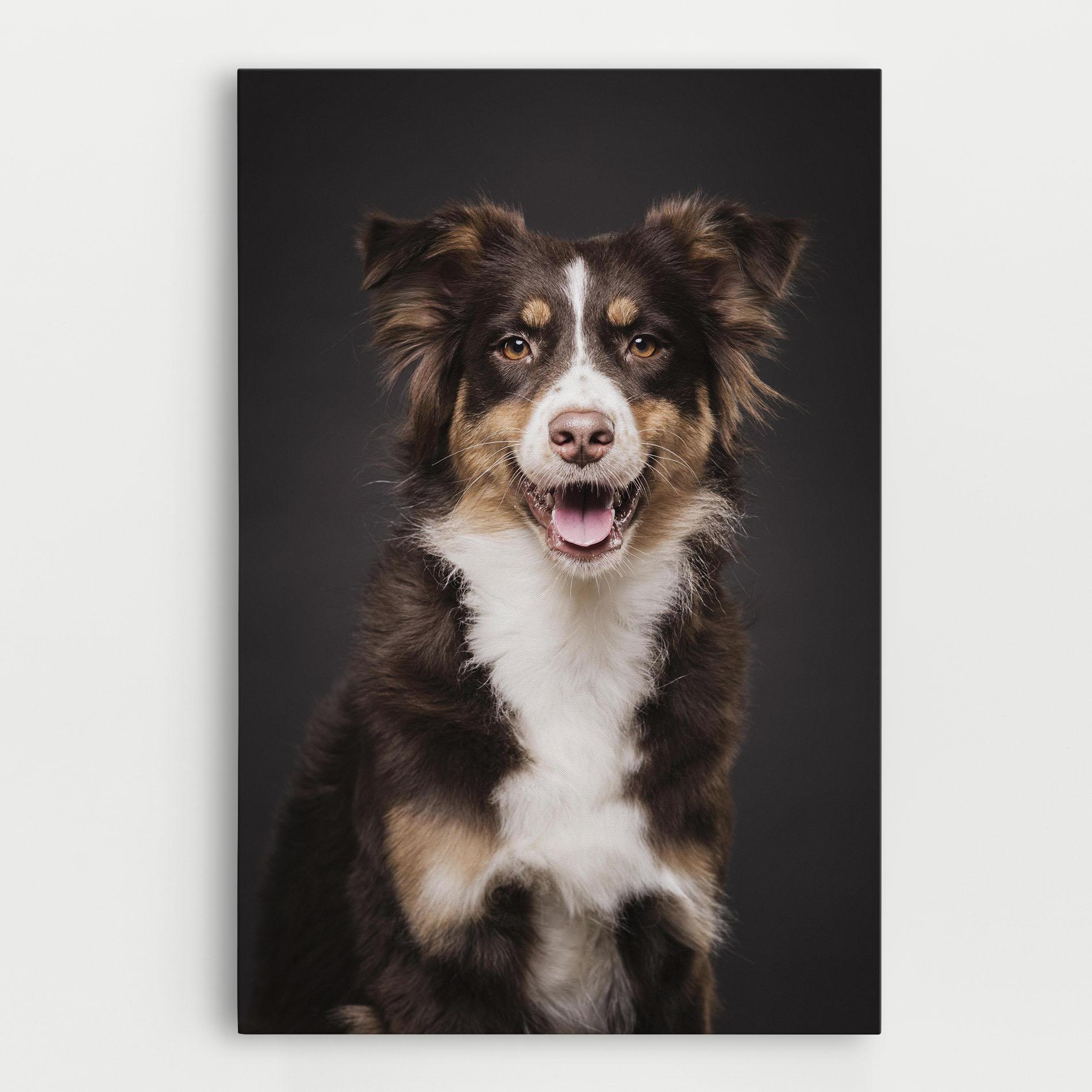 Tablou Canvas Cute Dog Sitting mockup 0