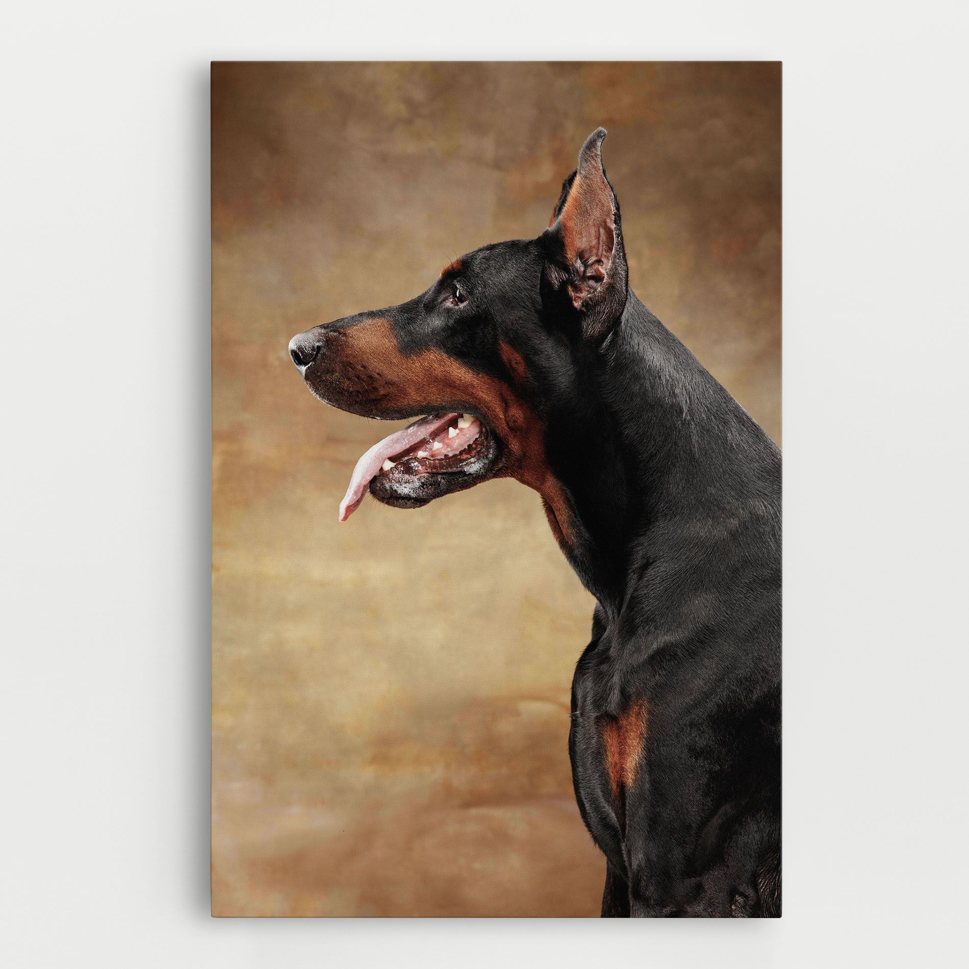 Doberman Pinscher mockup 0