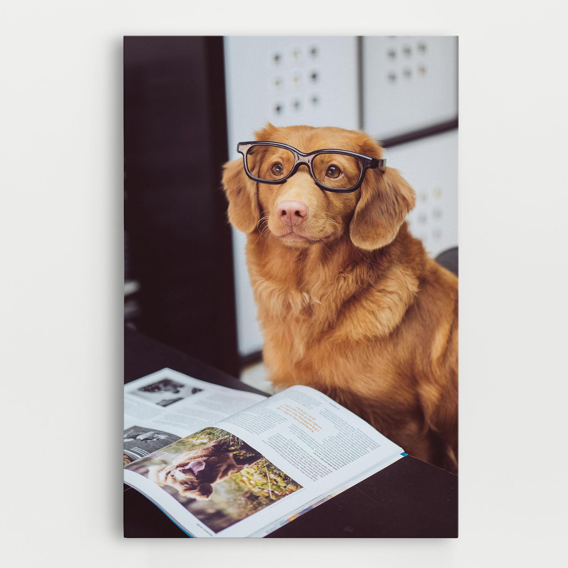 Tablou Canvas Learning Dog mockup 0