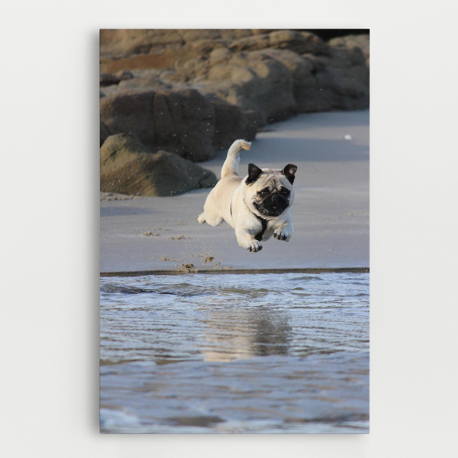 Tablou Canvas Water Pug mockup 0