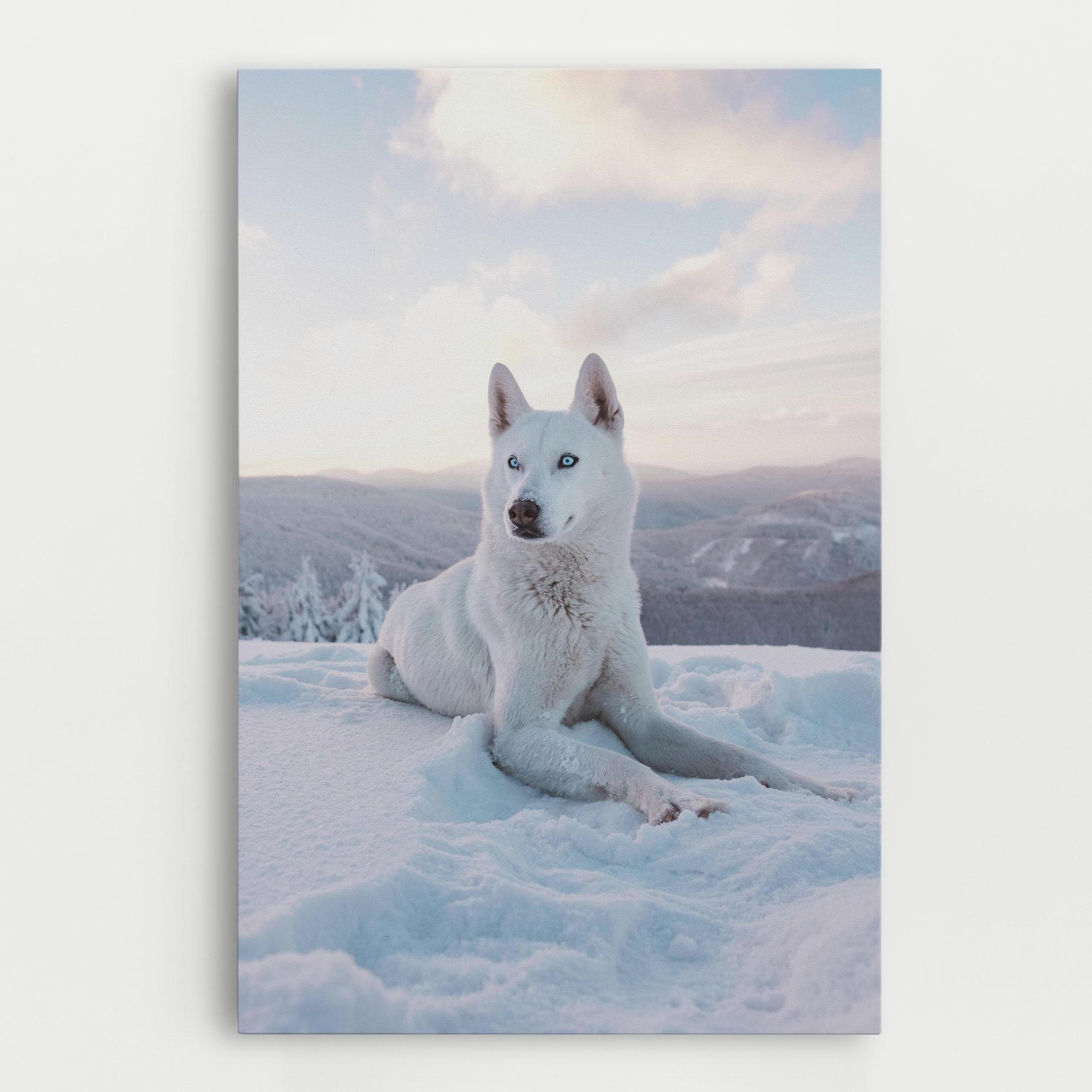 Tablou Canvas White Husky mockup 0