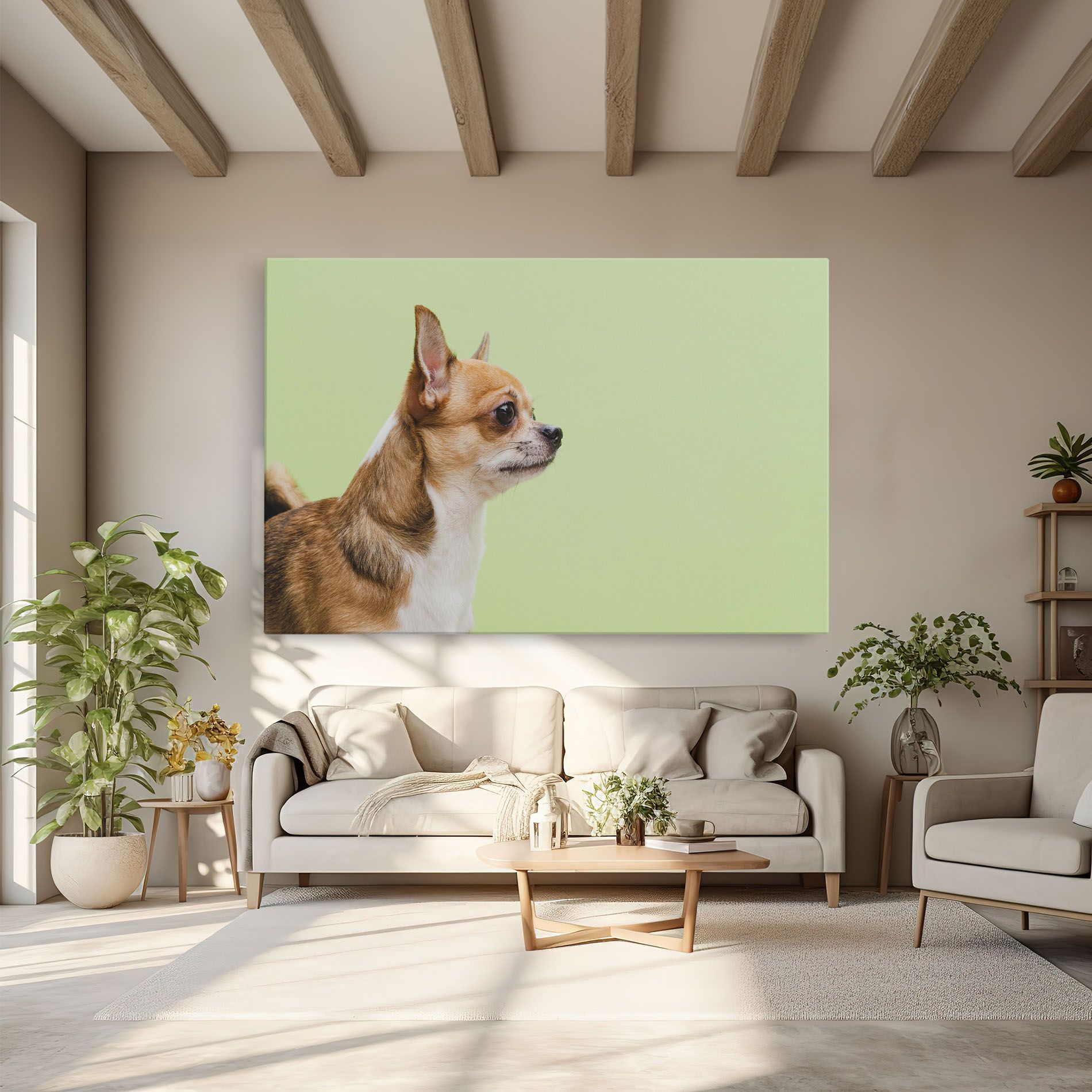Chihuahua Dog mockup 6