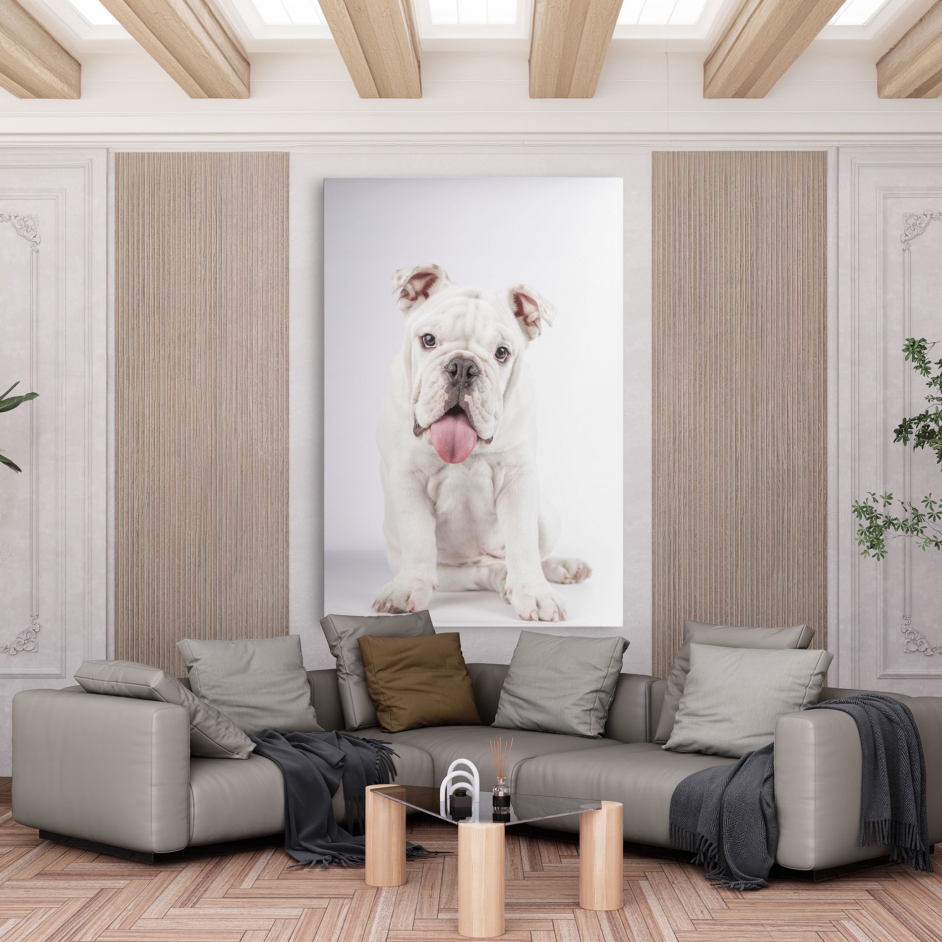 English Bulldog mockup 6