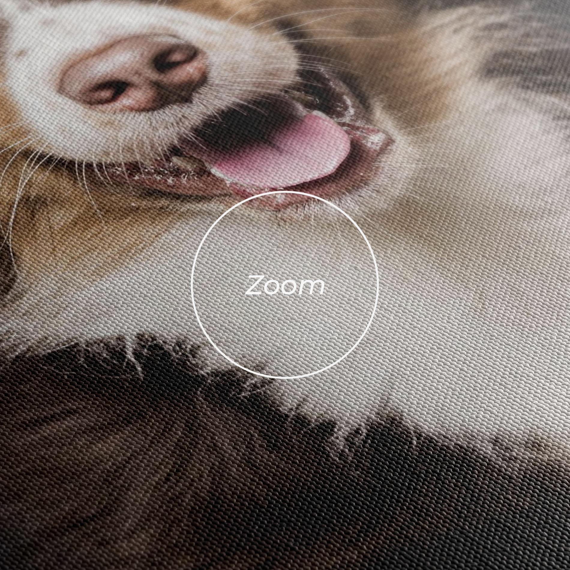 Tablou Canvas Cute Dog Sitting mockup 3