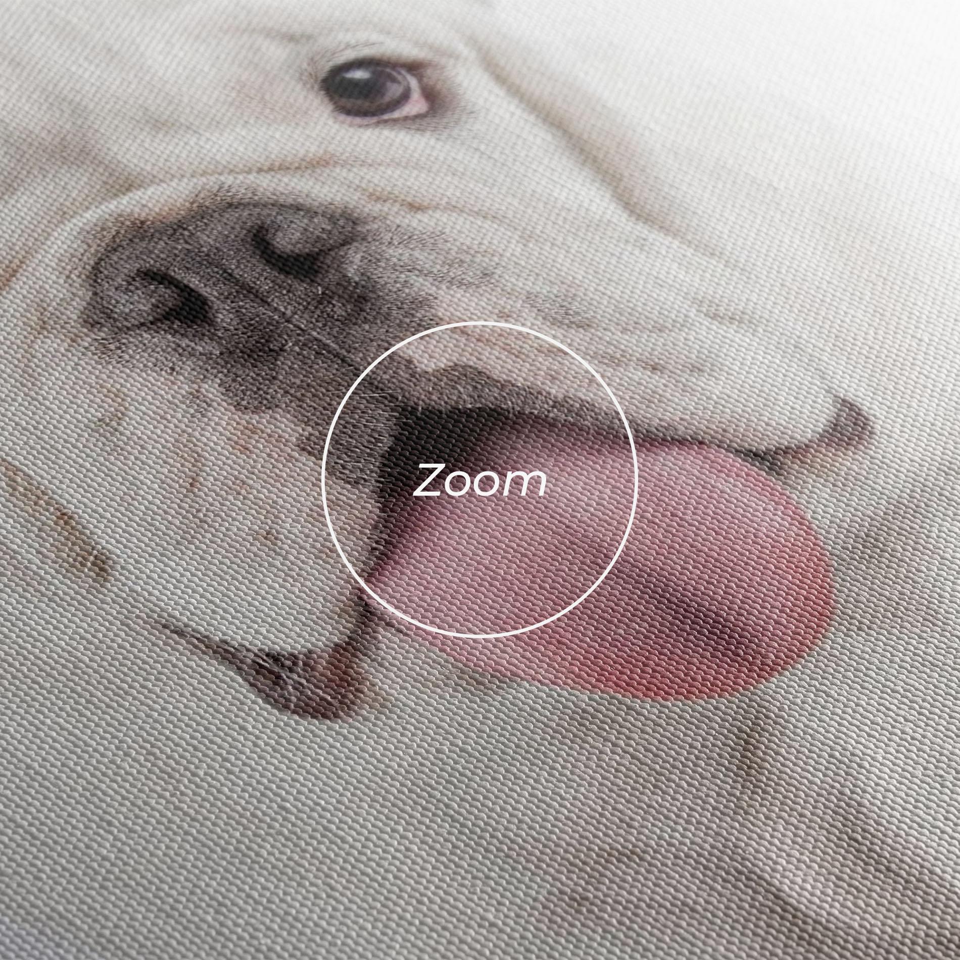 Tablou Canvas English Bulldog mockup 3