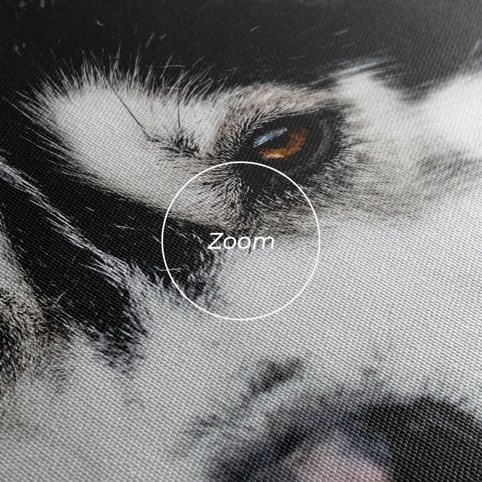 Tablou Canvas Husky Dog mockup 3