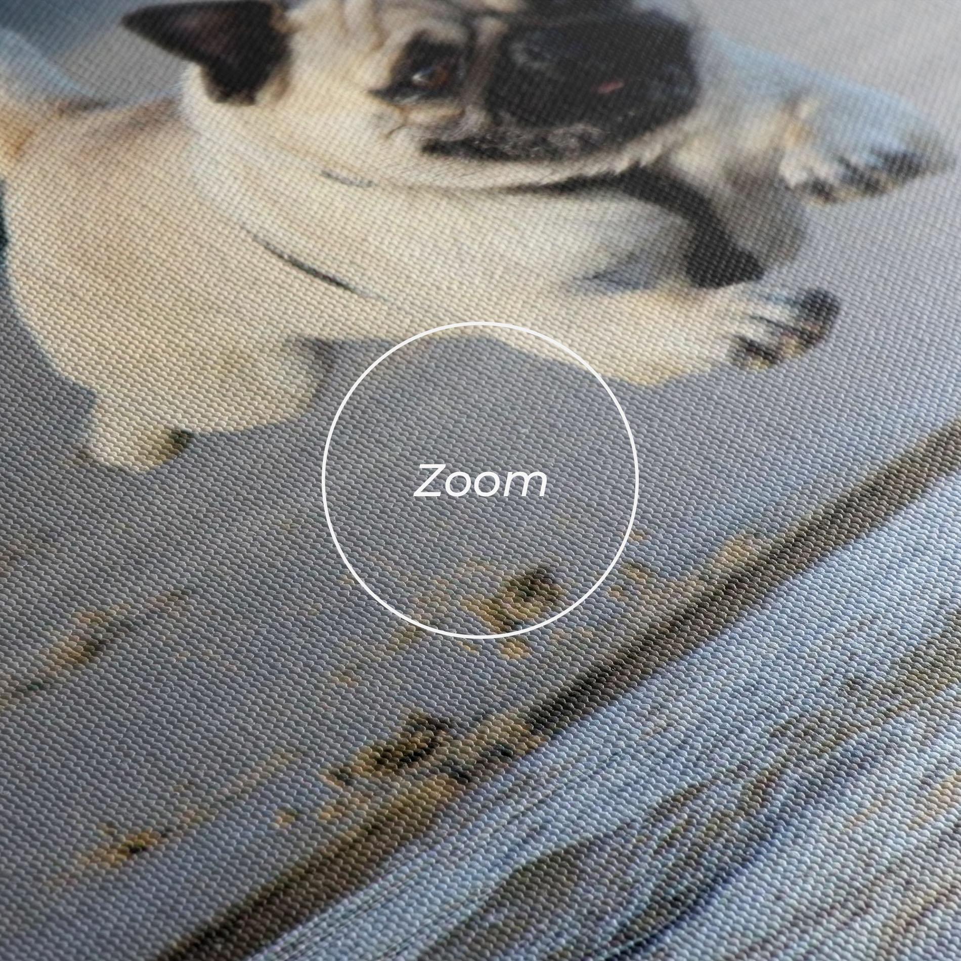 Tablou Canvas Water Pug mockup 3