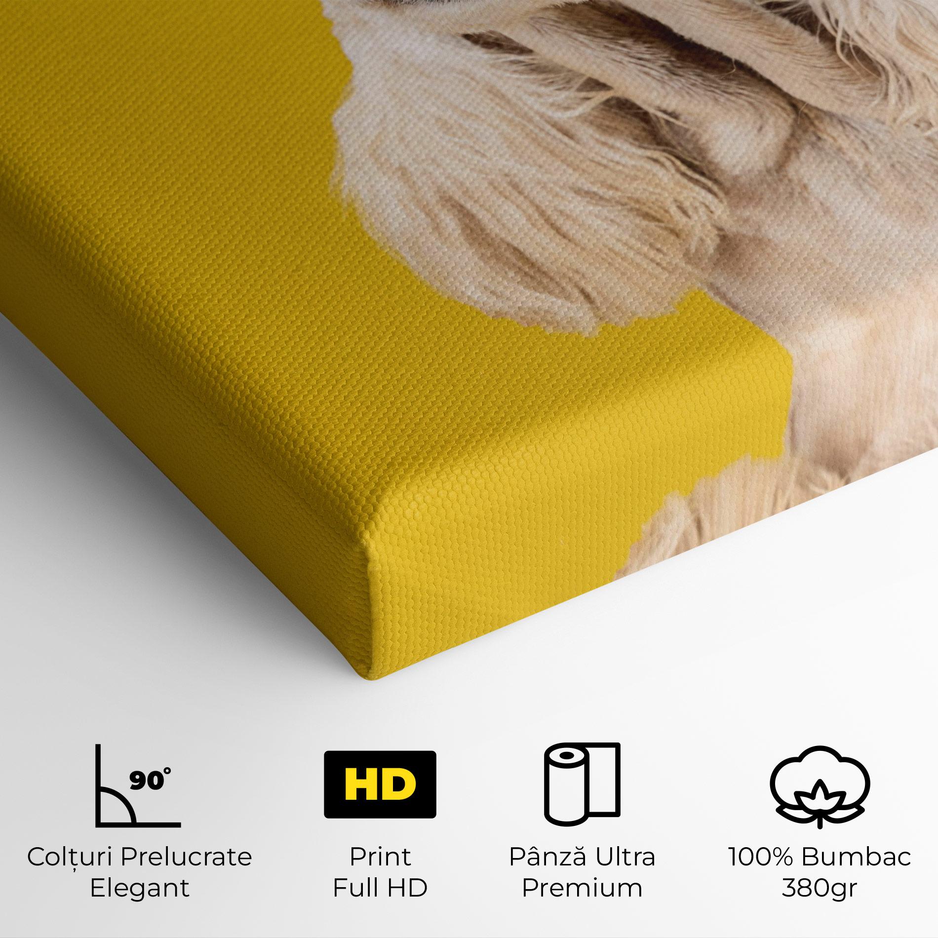 Tablou Canvas American Spaniel mockup 4