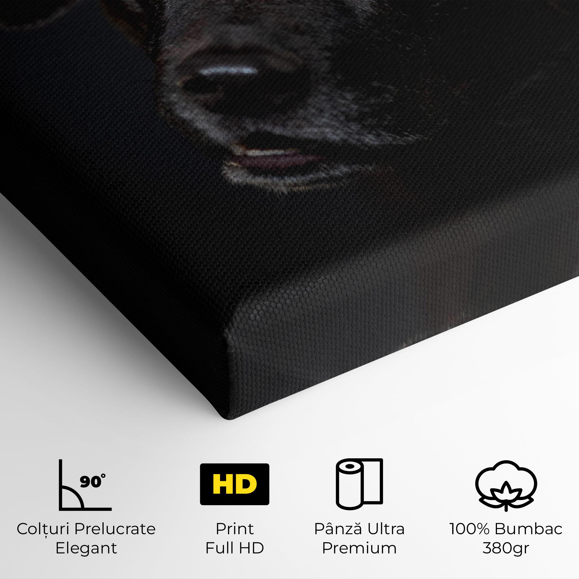 Tablou Canvas Black Dog Portrait mockup 4
