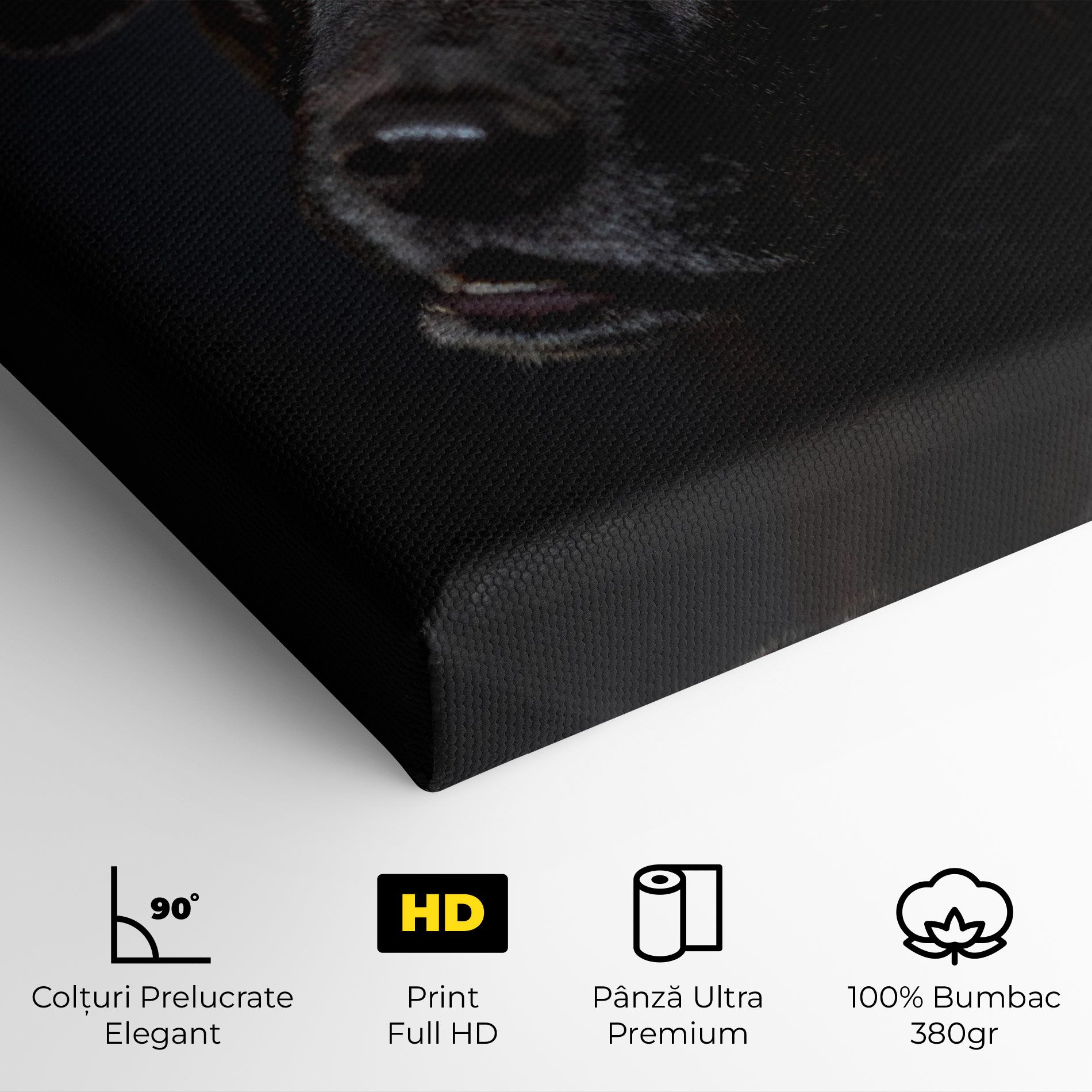 Black Dog Portrait mockup 4