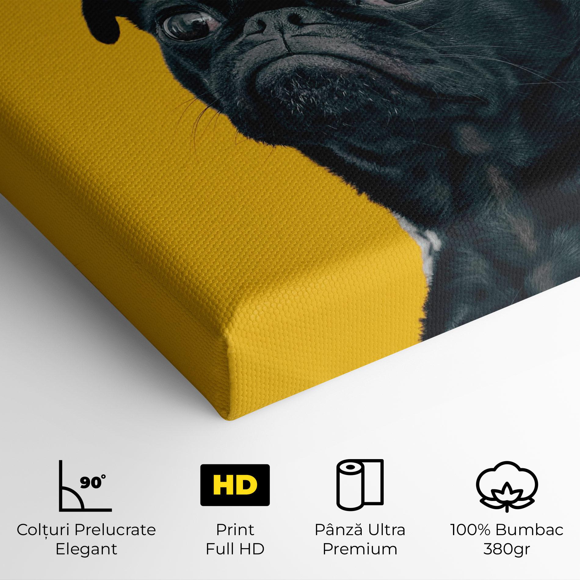 Tablou Canvas Black Pug mockup 4