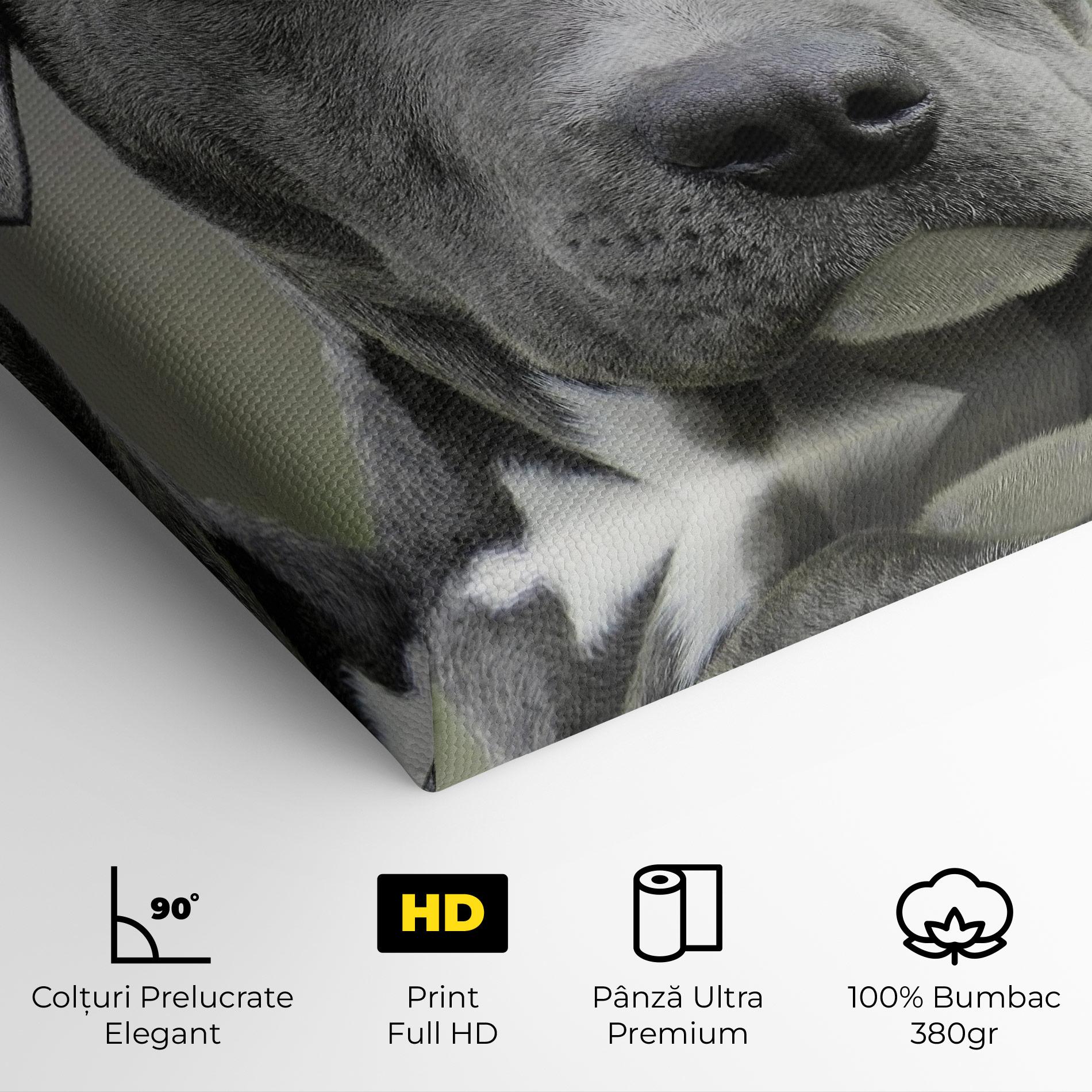 Tablou Canvas Blue Eyes Dog mockup 4