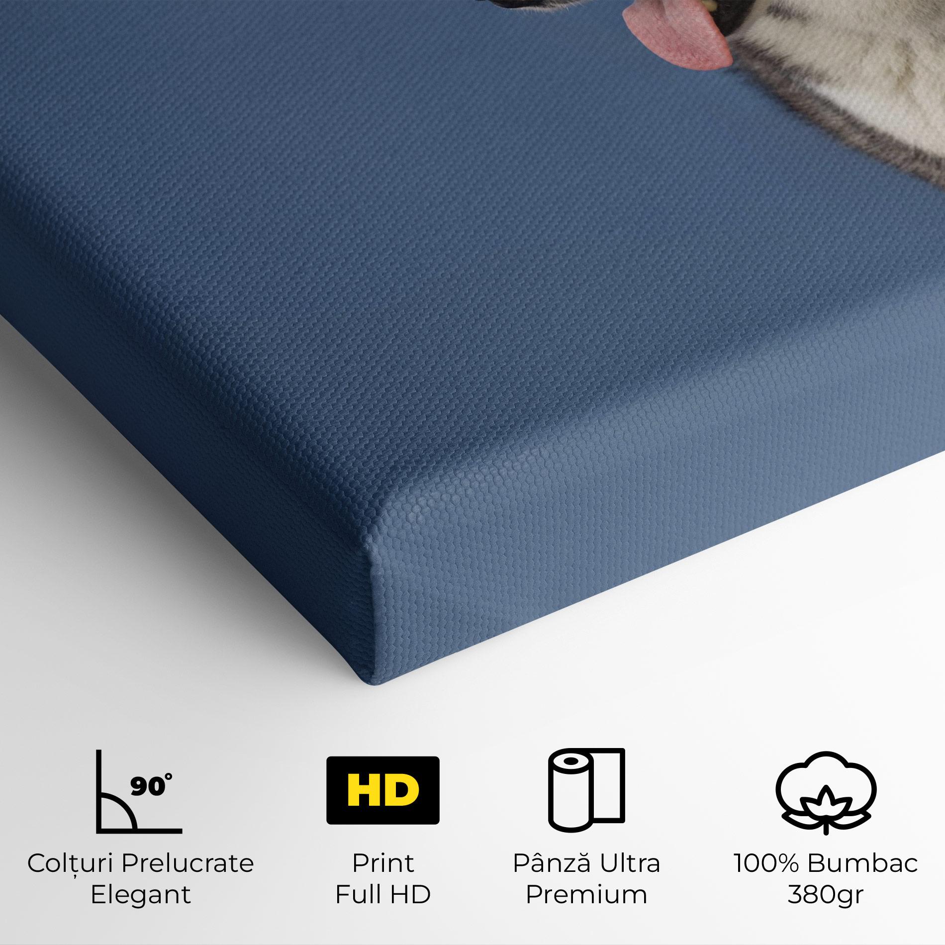 Tablou Canvas Blue Glasses Dog mockup 4