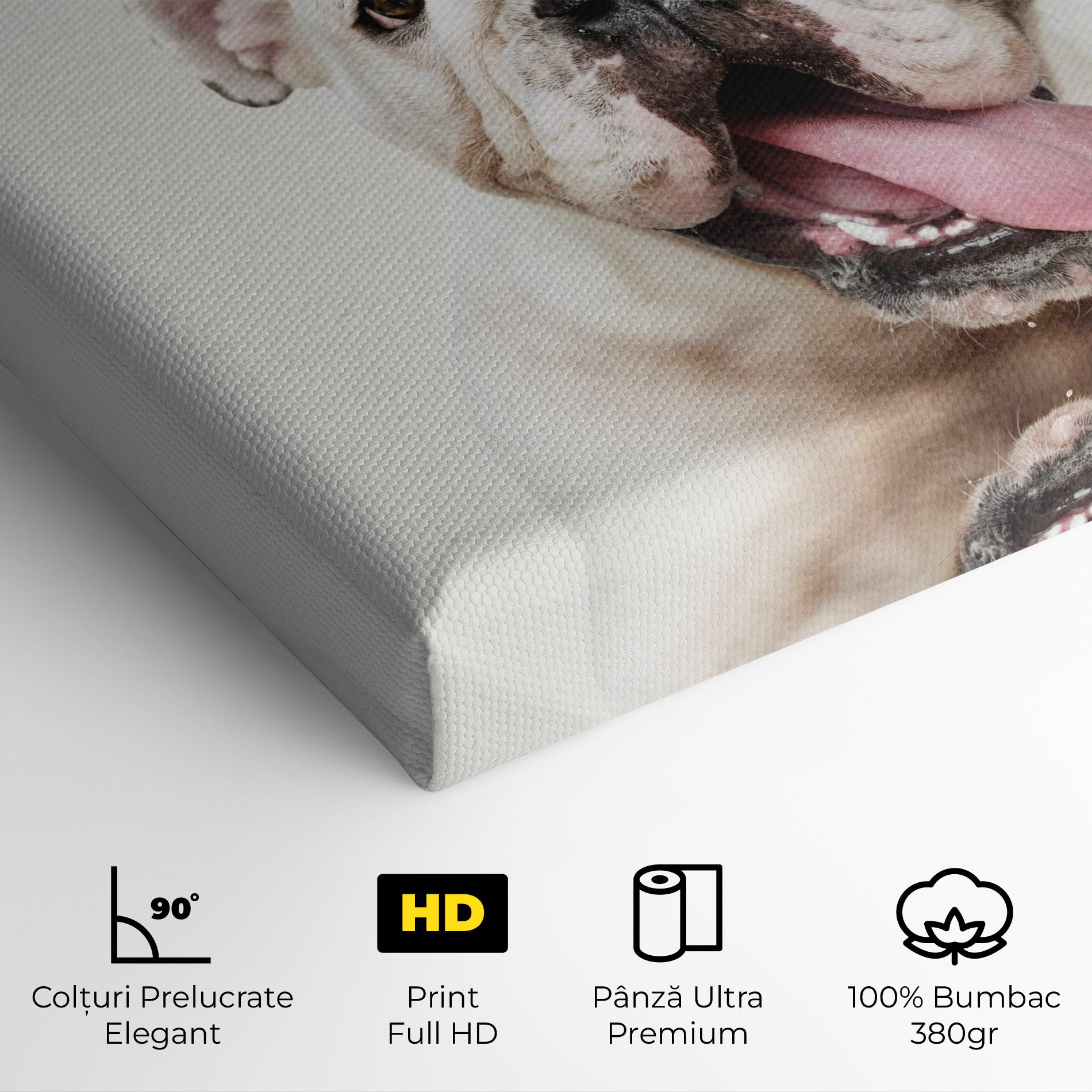 Bulldog Wearing Crown mockup 4