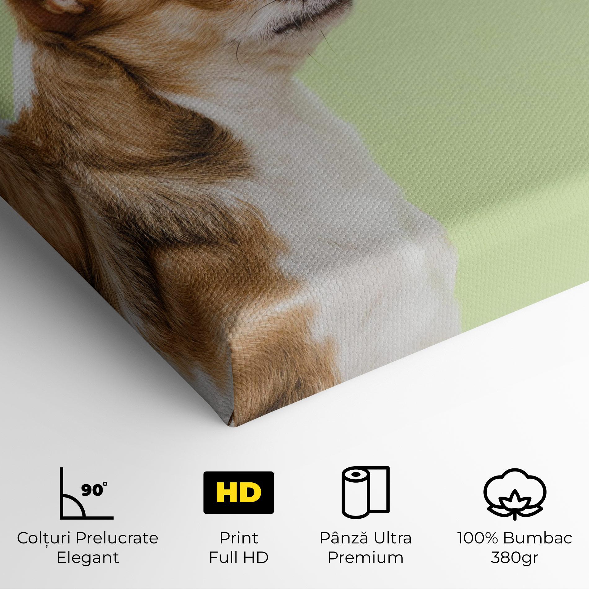 Tablou Canvas Chihuahua Dog mockup 4