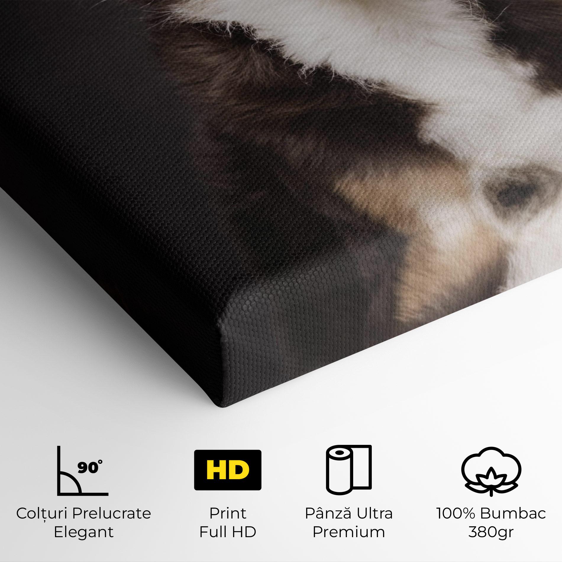 Tablou Canvas Cute Dog Sitting mockup 4