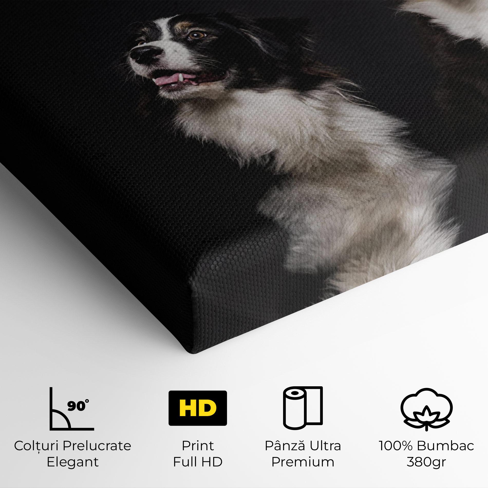 Tablou Canvas Cute Dogs Standing mockup 4