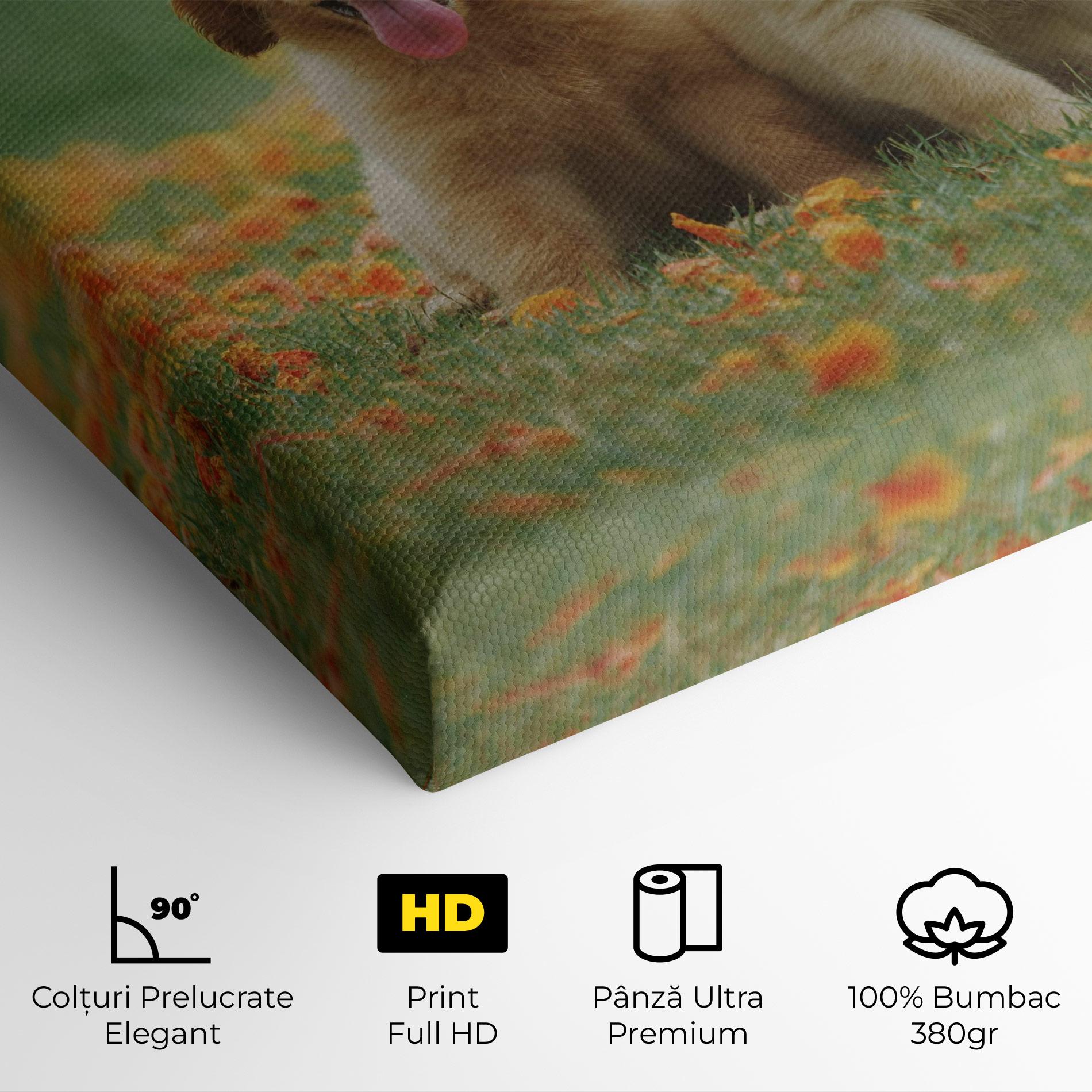 Tablou Canvas Happy Dogs mockup 4