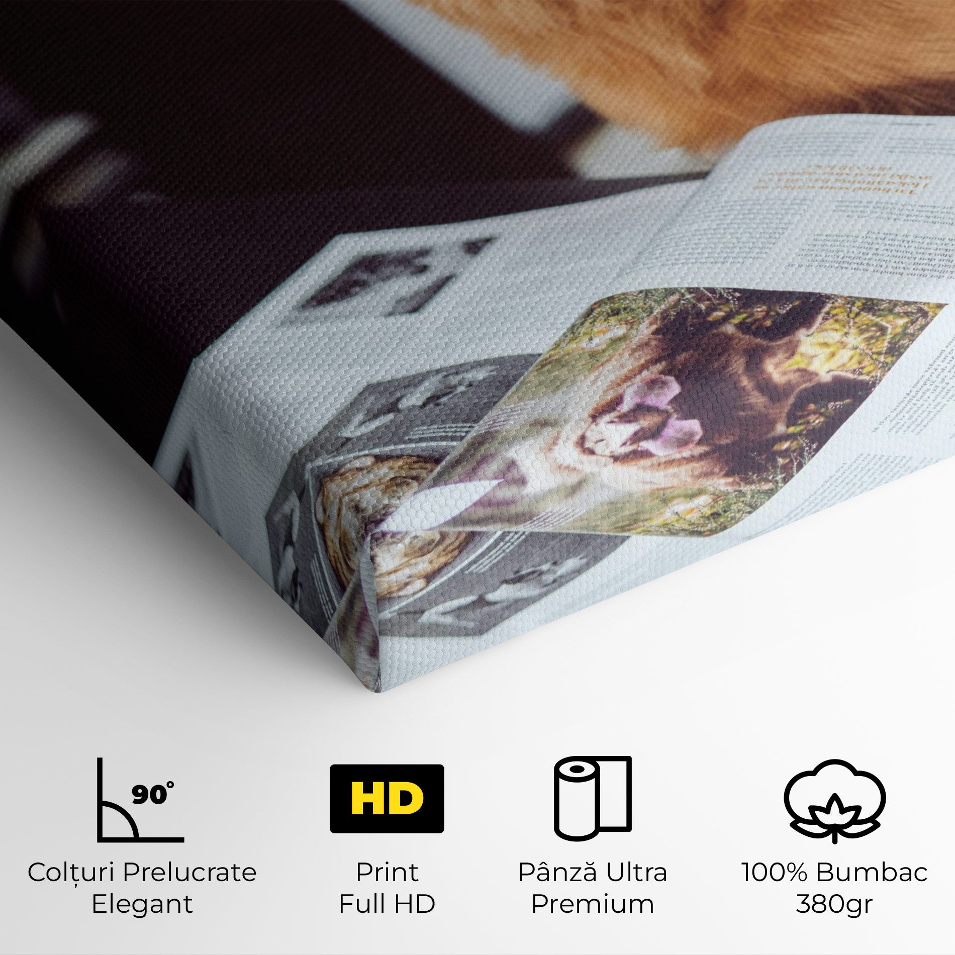 Learning Dog mockup 4