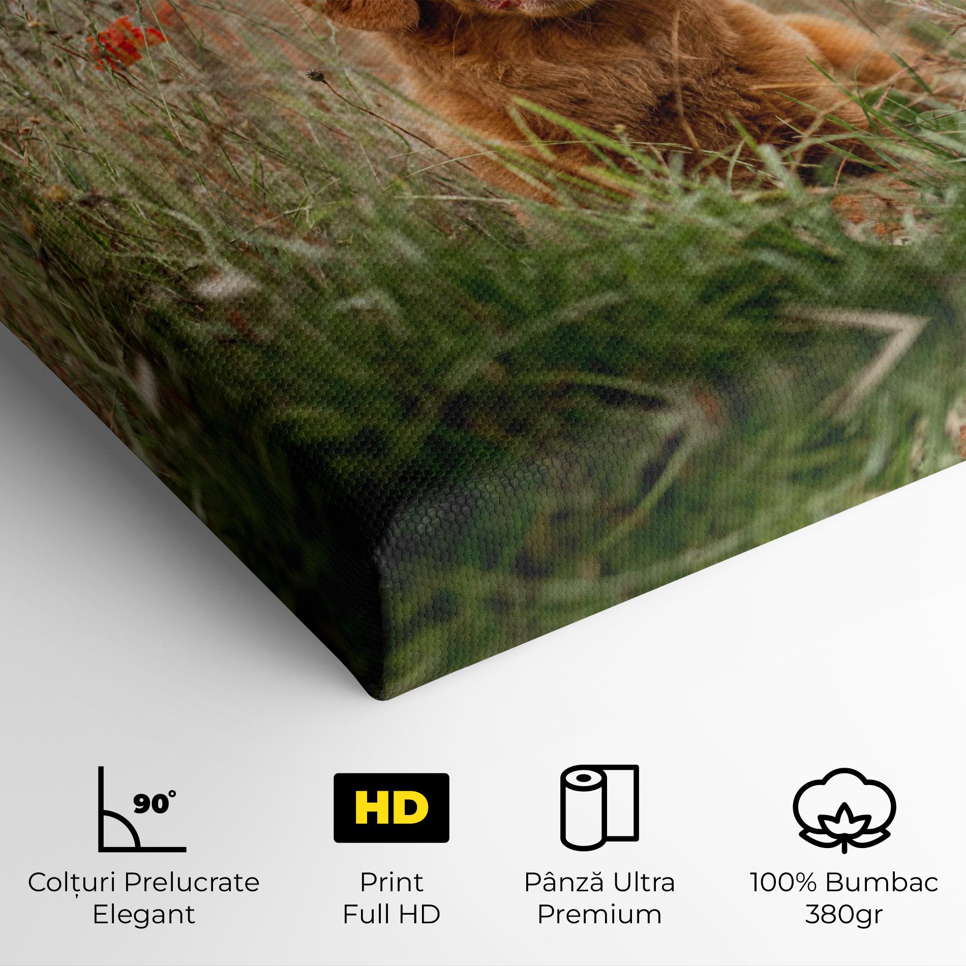 Tablou Canvas Red Flowers Dog mockup 4