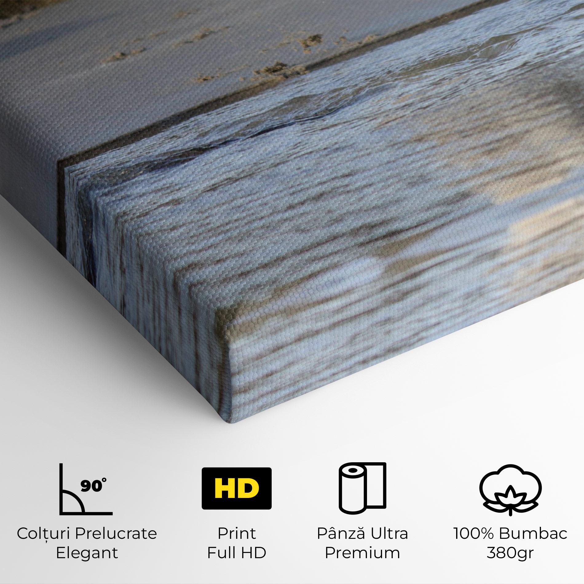 Tablou Canvas Water Pug mockup 4