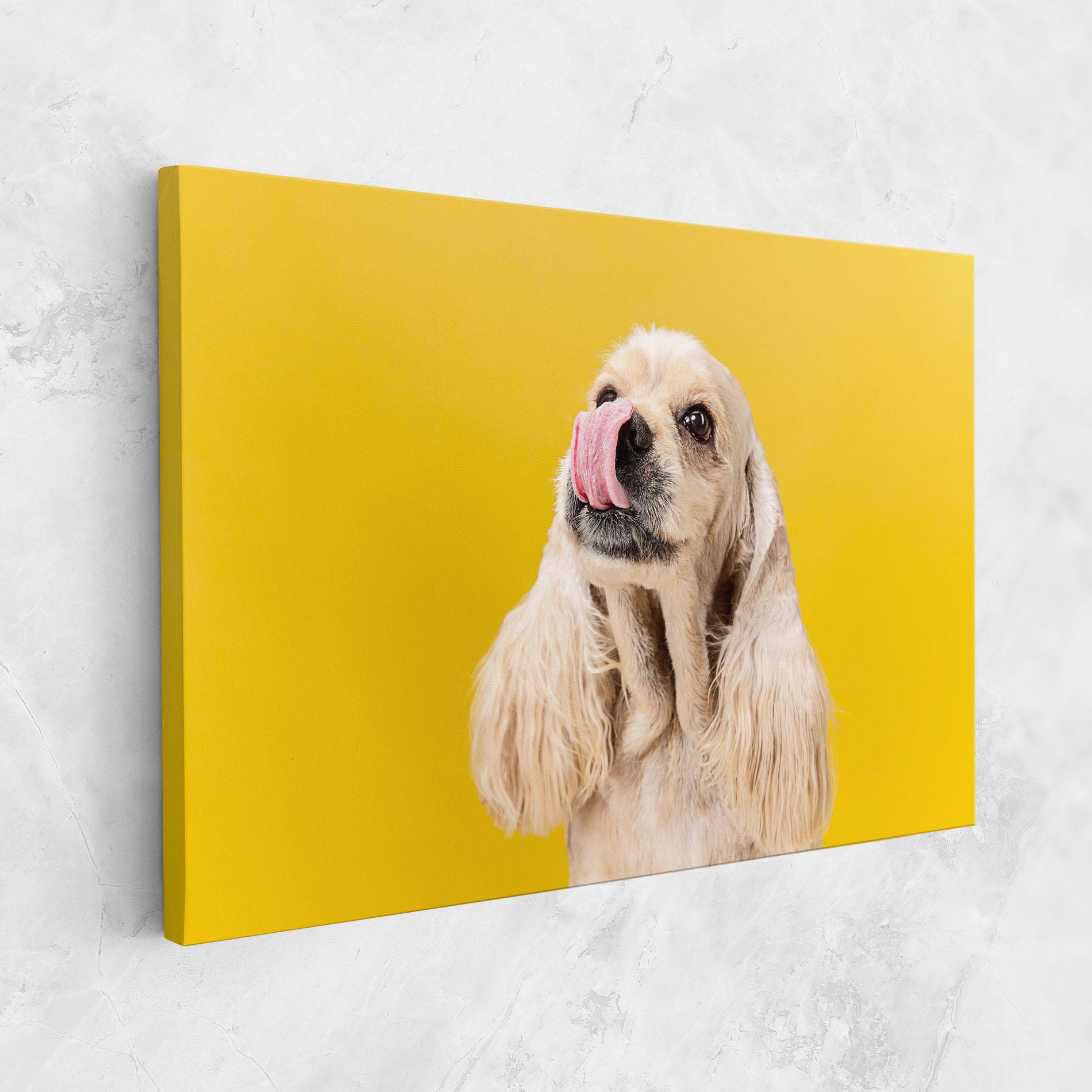 Tablou Canvas American Spaniel mockup 1