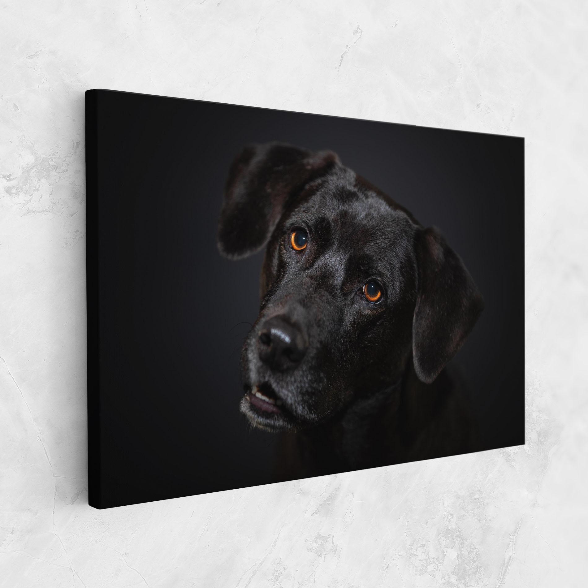 Tablou Canvas Black Dog Portrait mockup 1