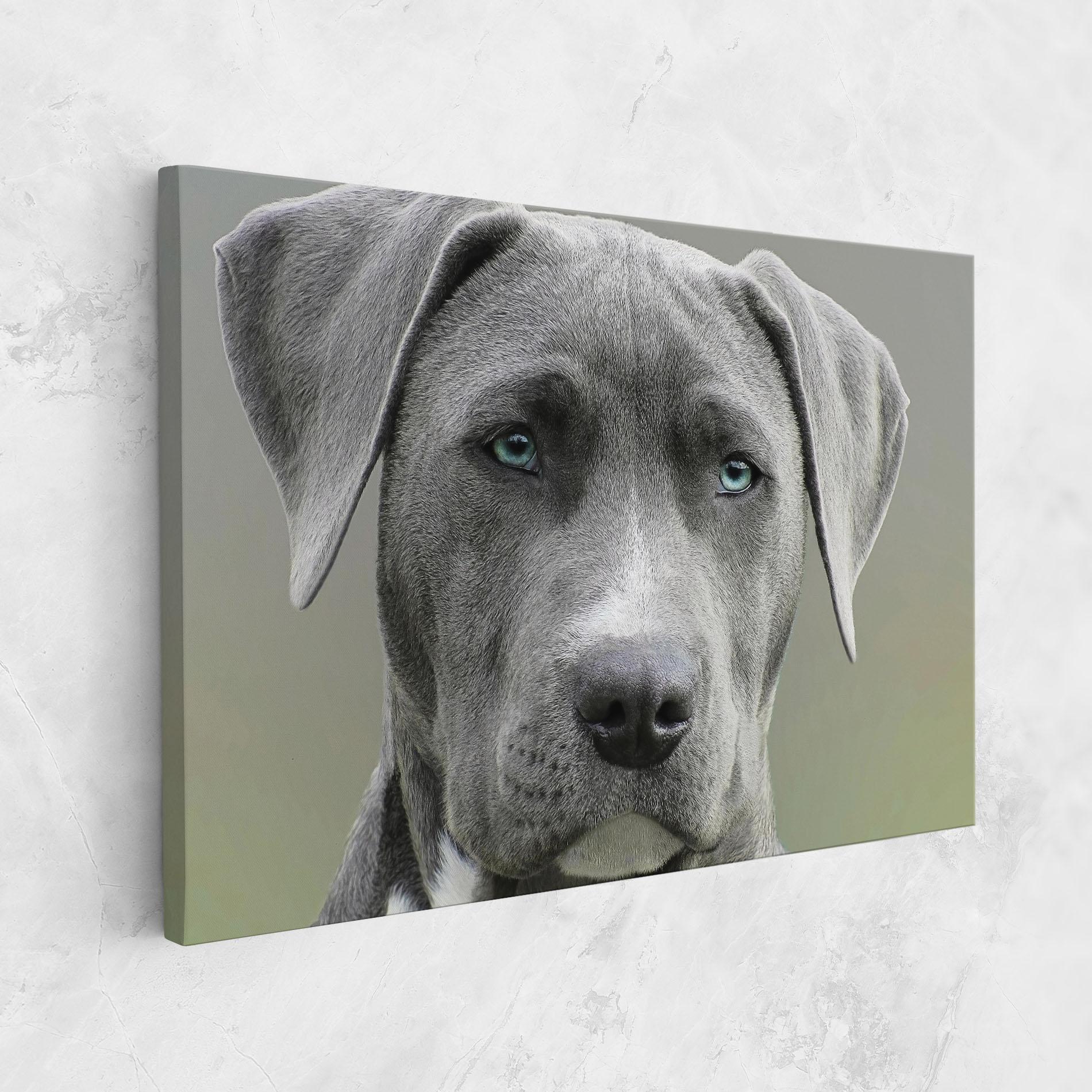 Tablou Canvas Blue Eyes Dog mockup 1