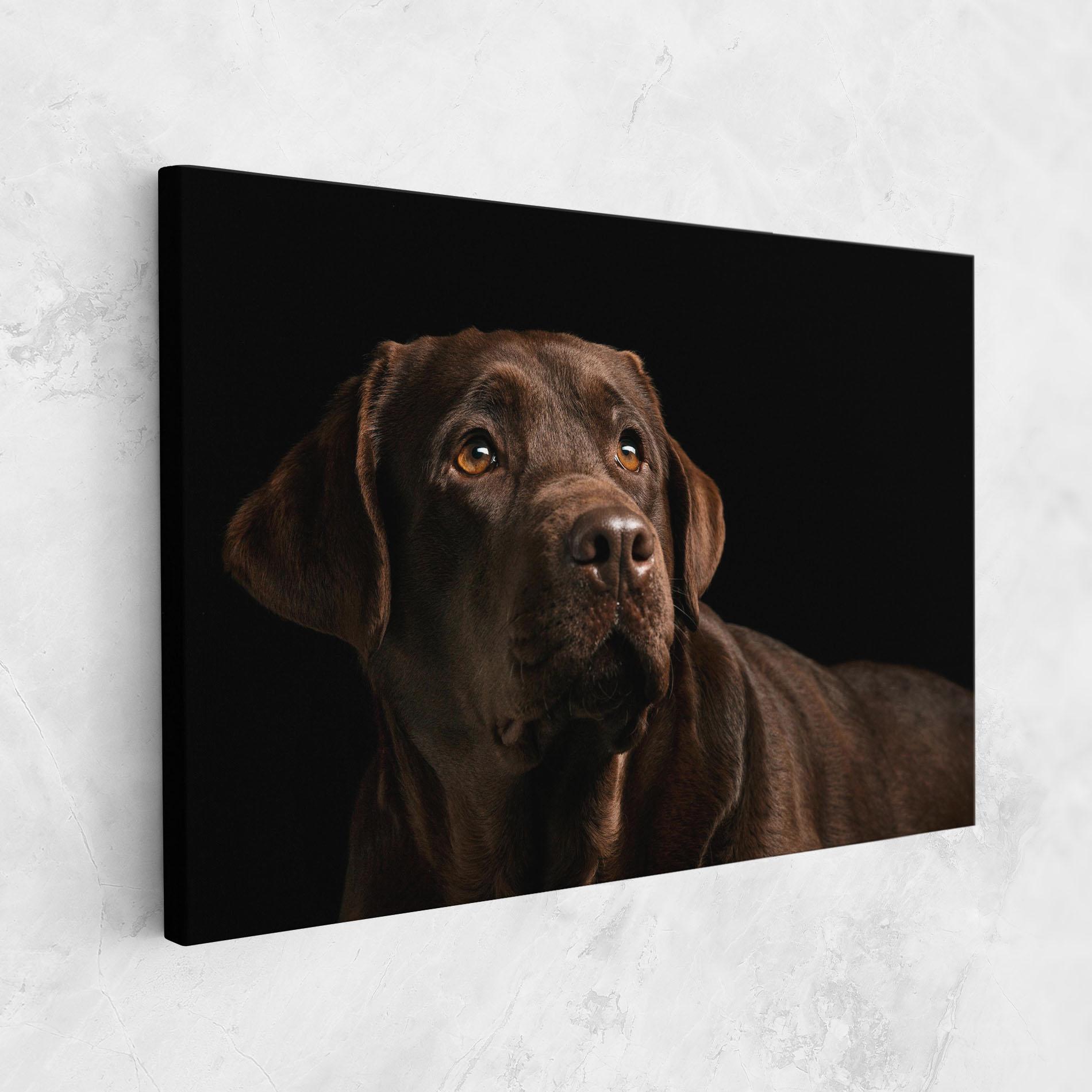 Tablou Canvas Brown Labrador mockup 1