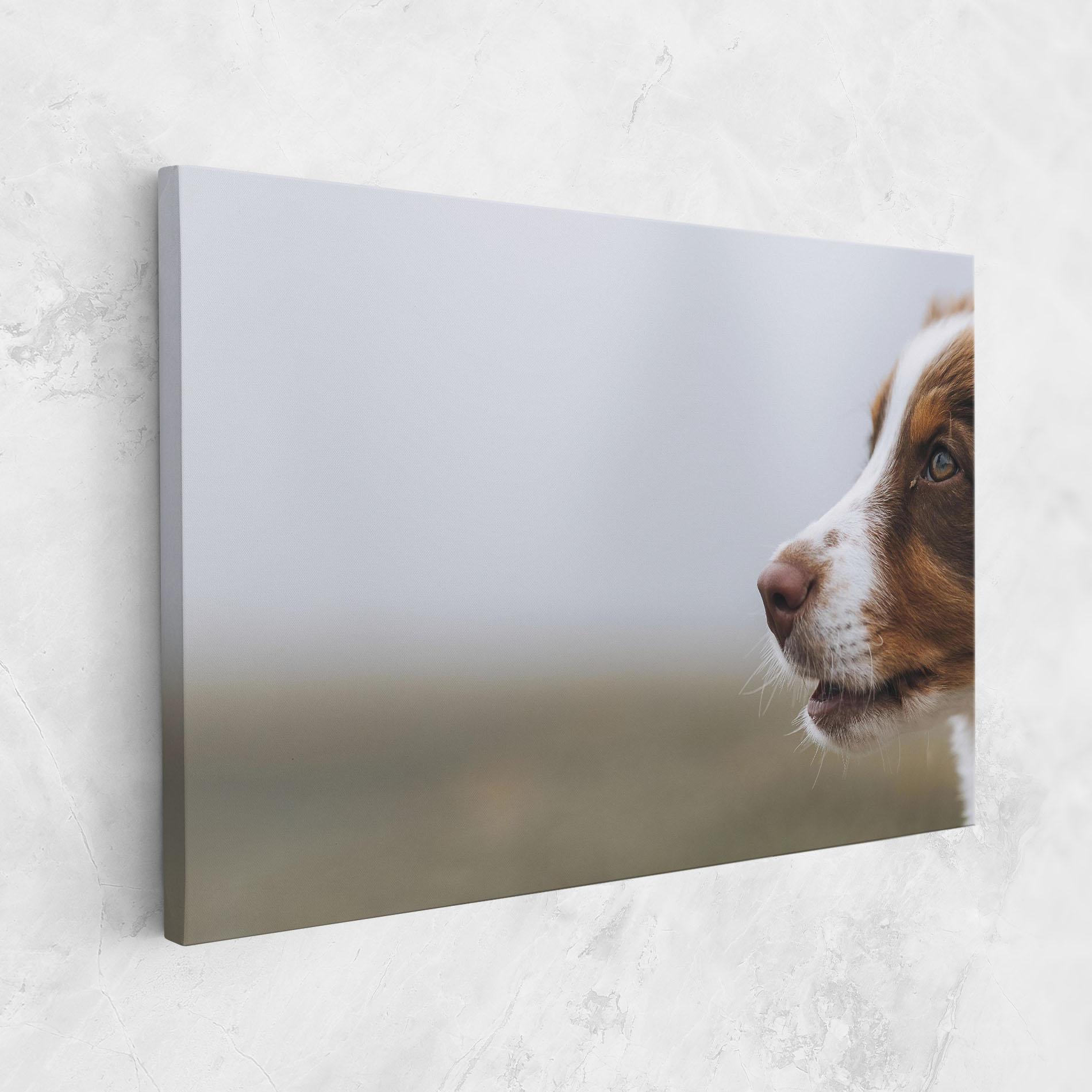 Tablou Canvas Brown White Dog mockup 1
