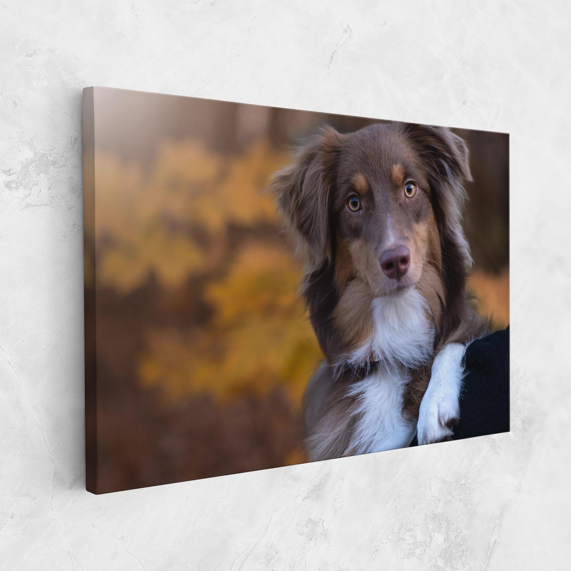 Tablou Canvas Coffee Brown Dog mockup 1